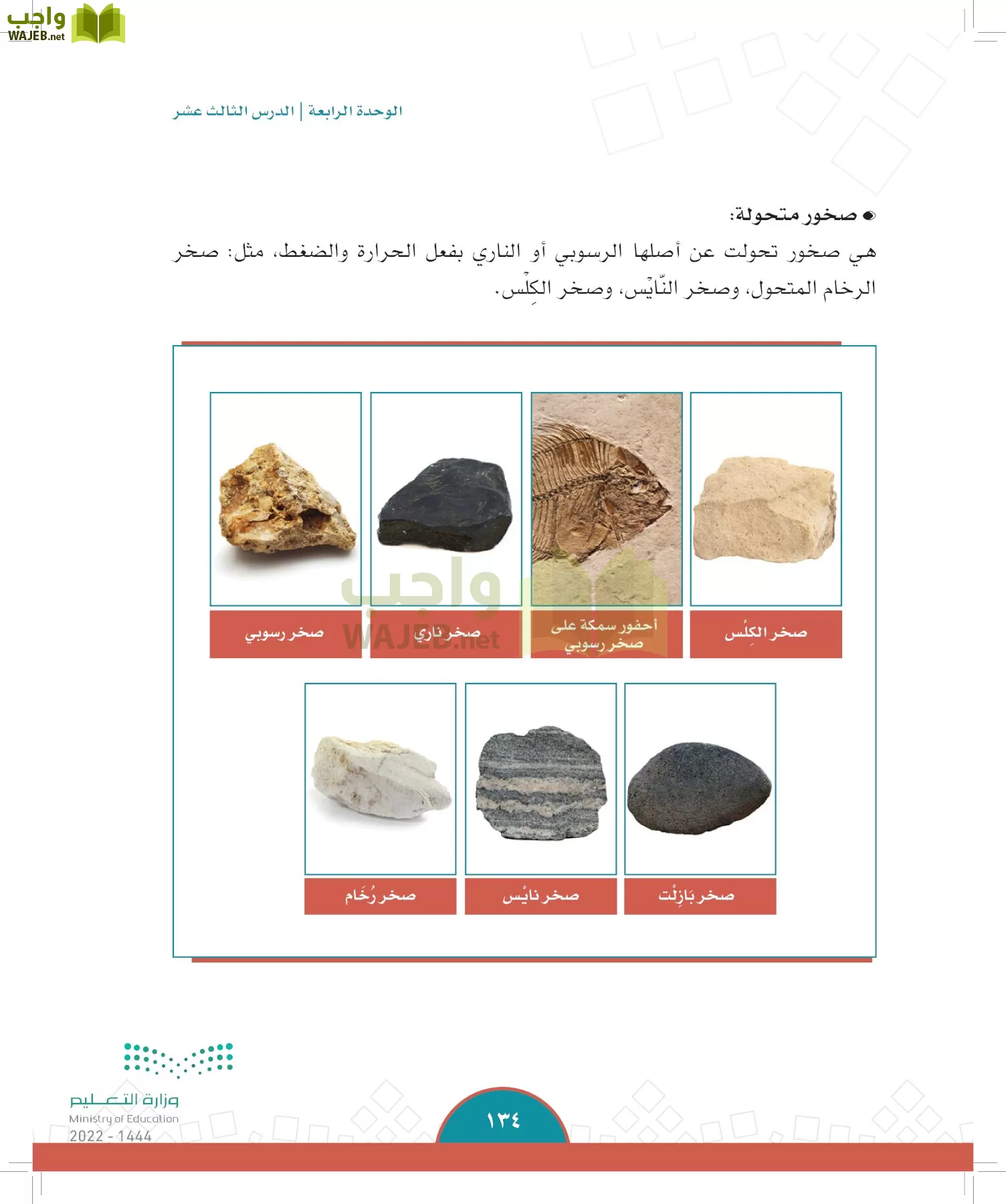 الدراسات الاجتماعية page-131