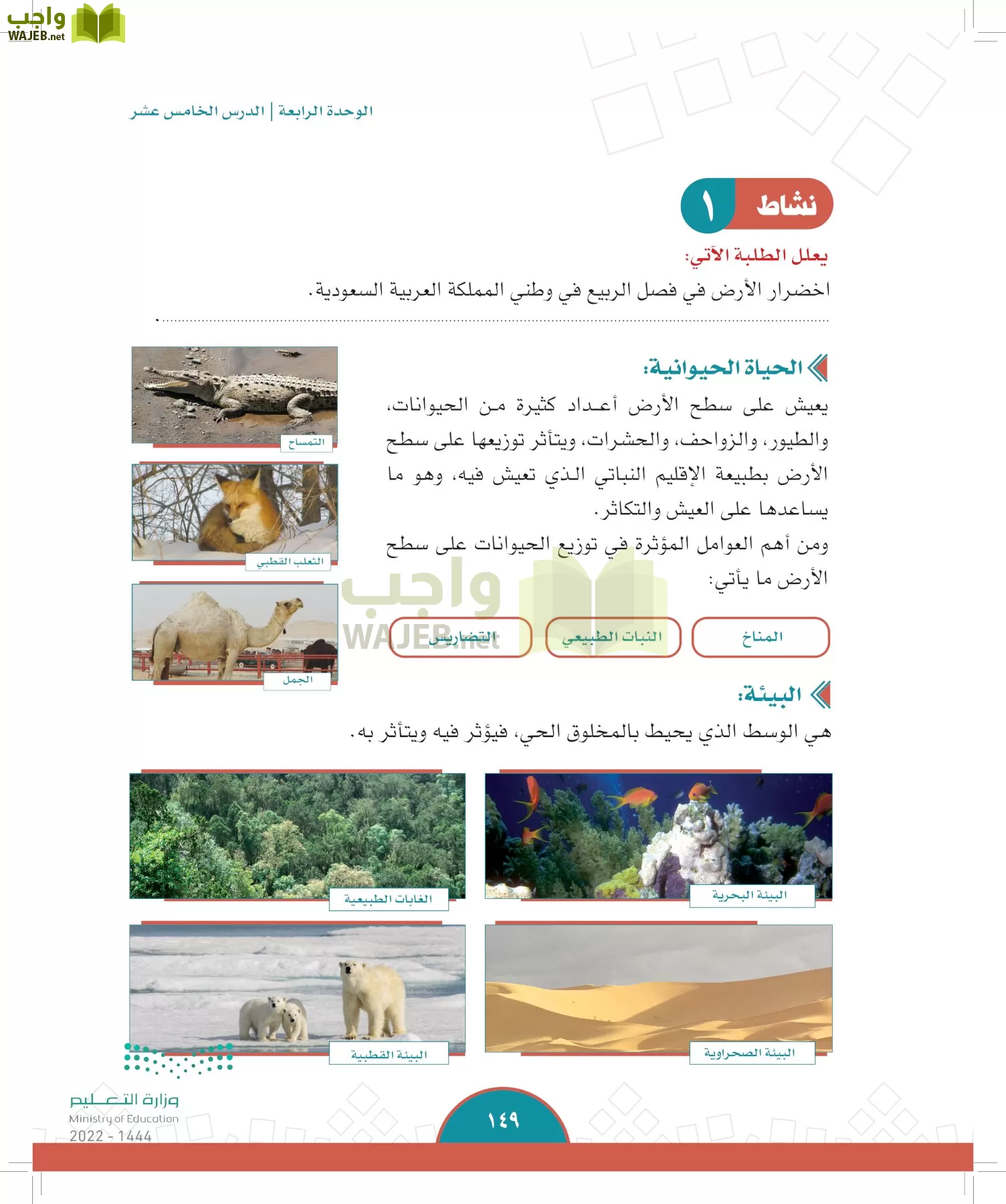 الدراسات الاجتماعية page-146