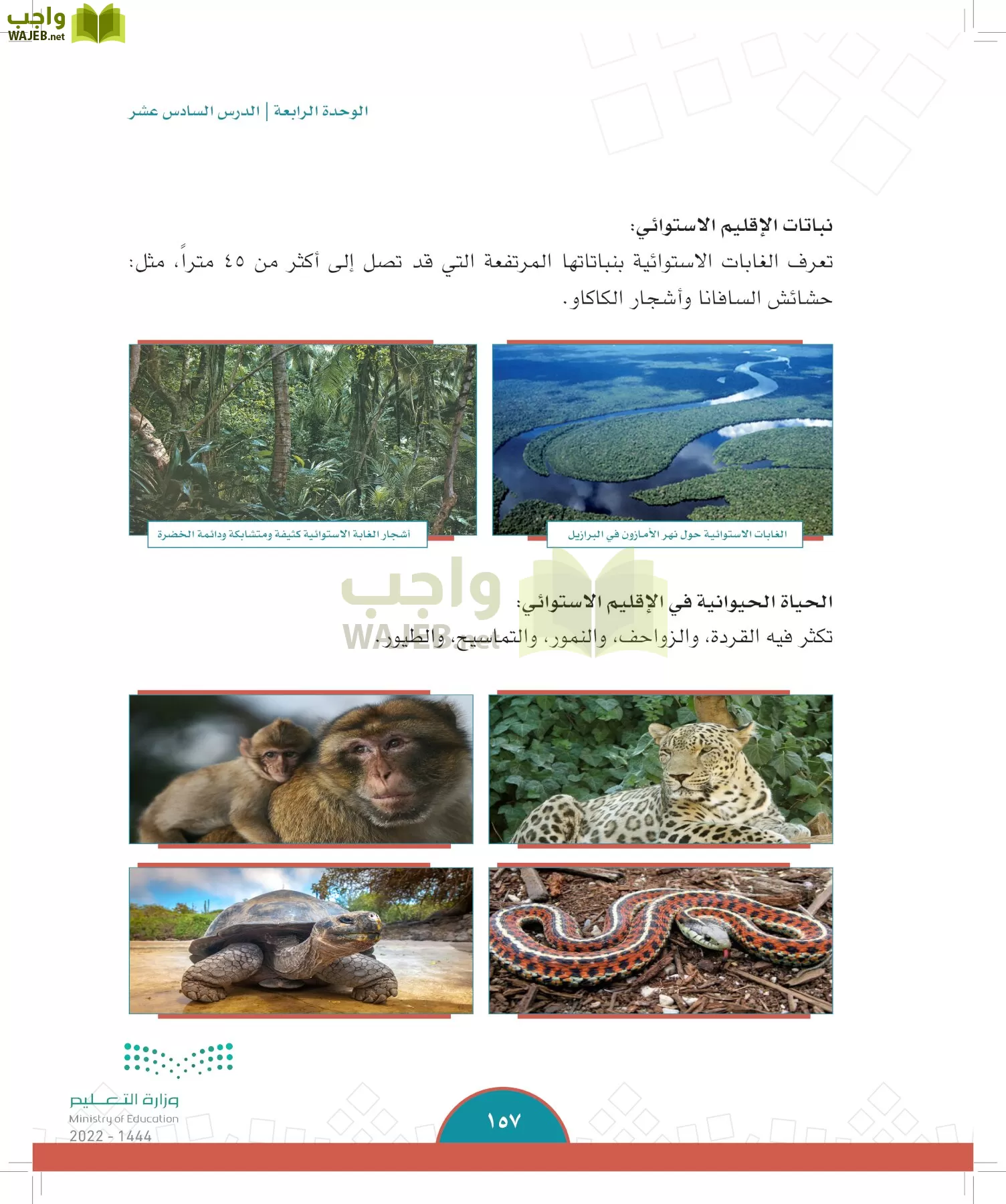 الدراسات الاجتماعية page-154