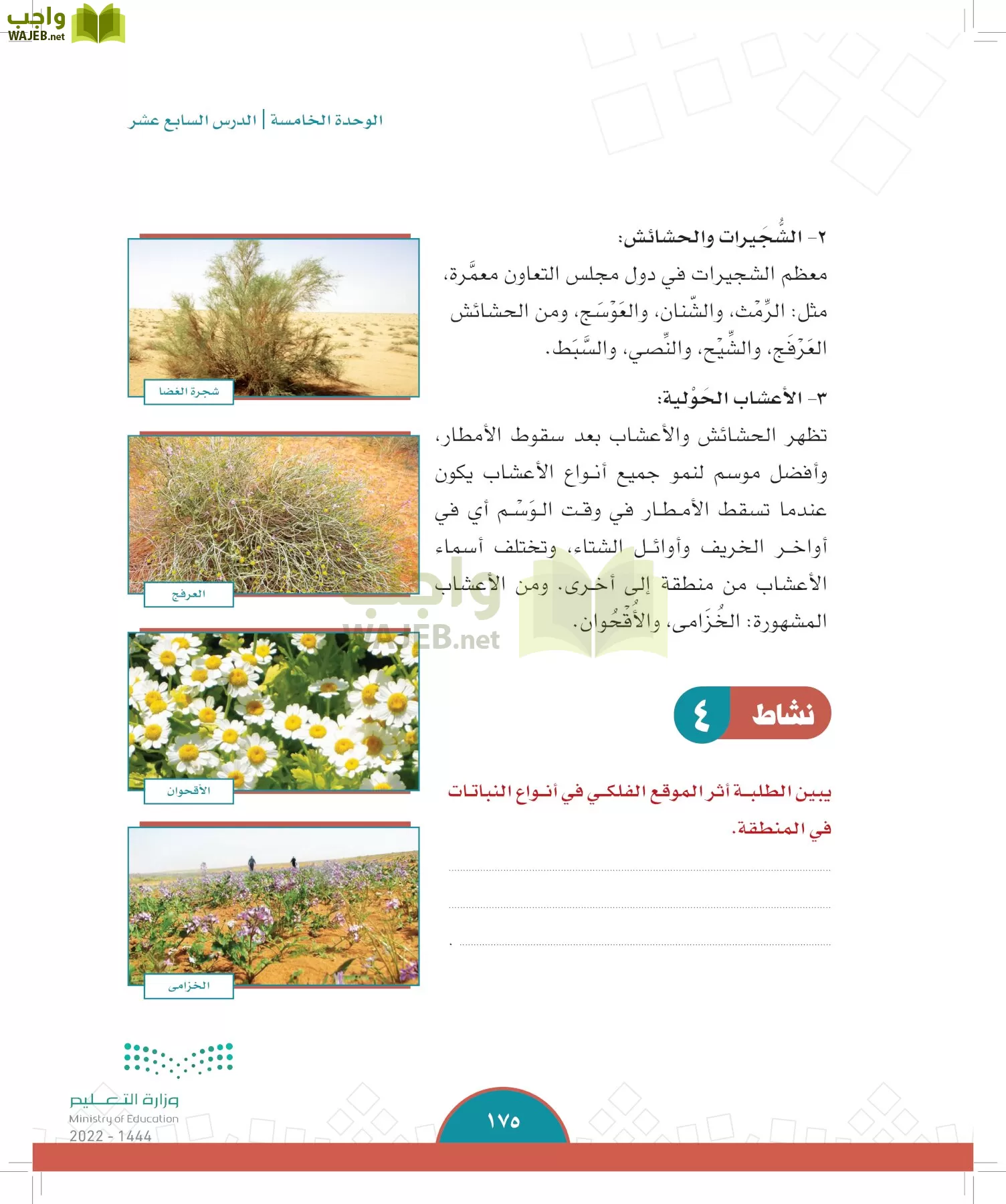 الدراسات الاجتماعية page-172