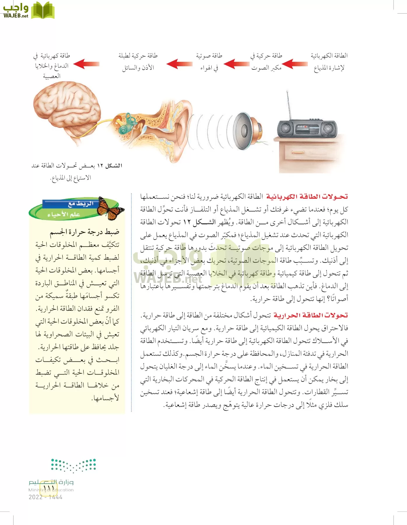 العلوم page-110