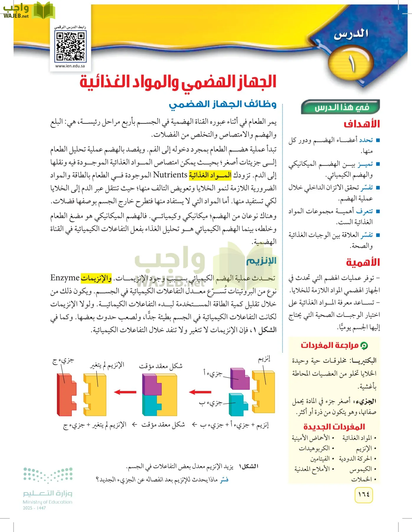 العلوم page-163