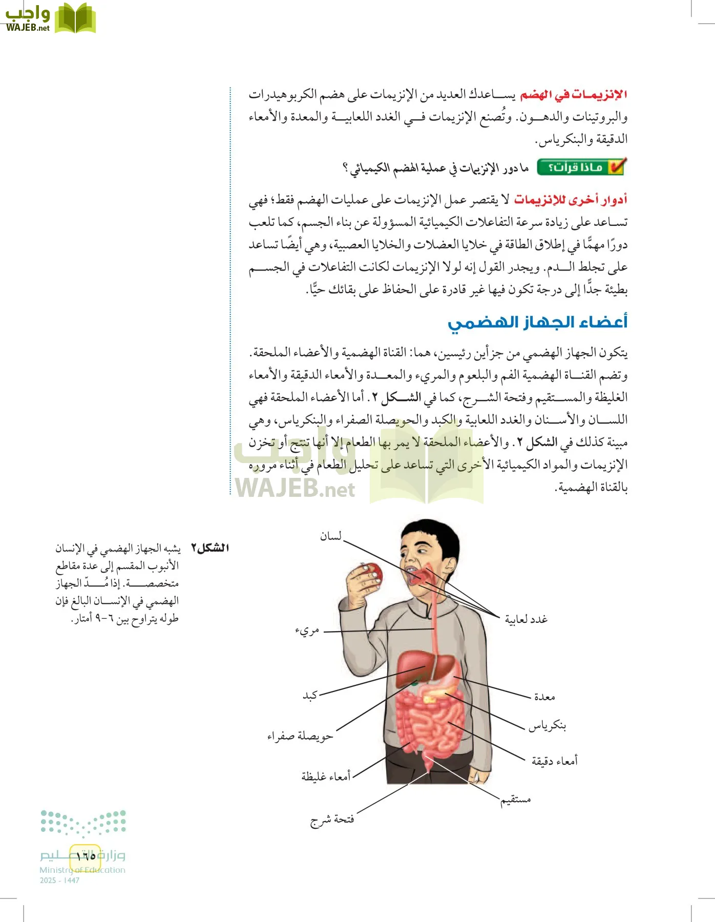 العلوم page-164