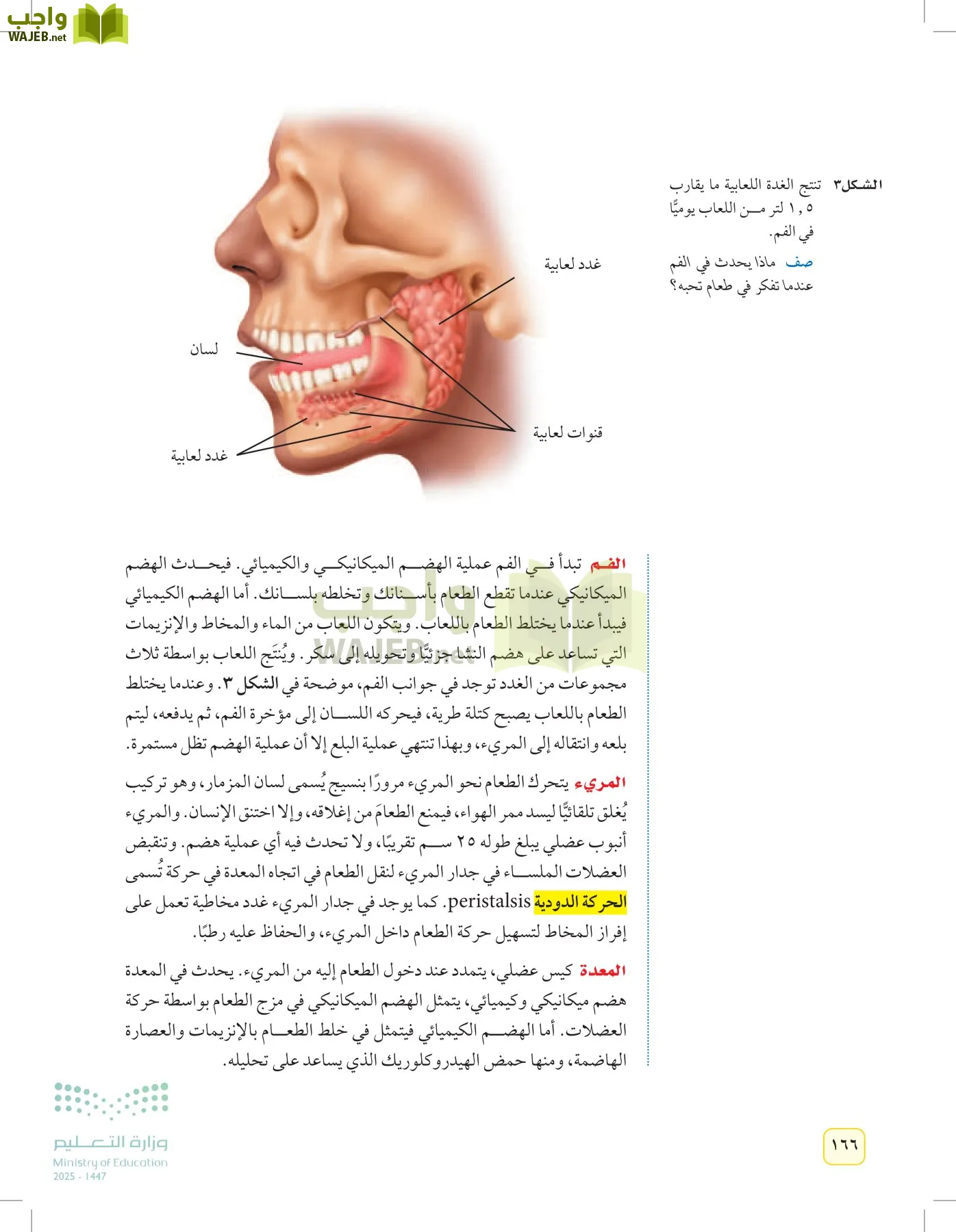 العلوم page-165