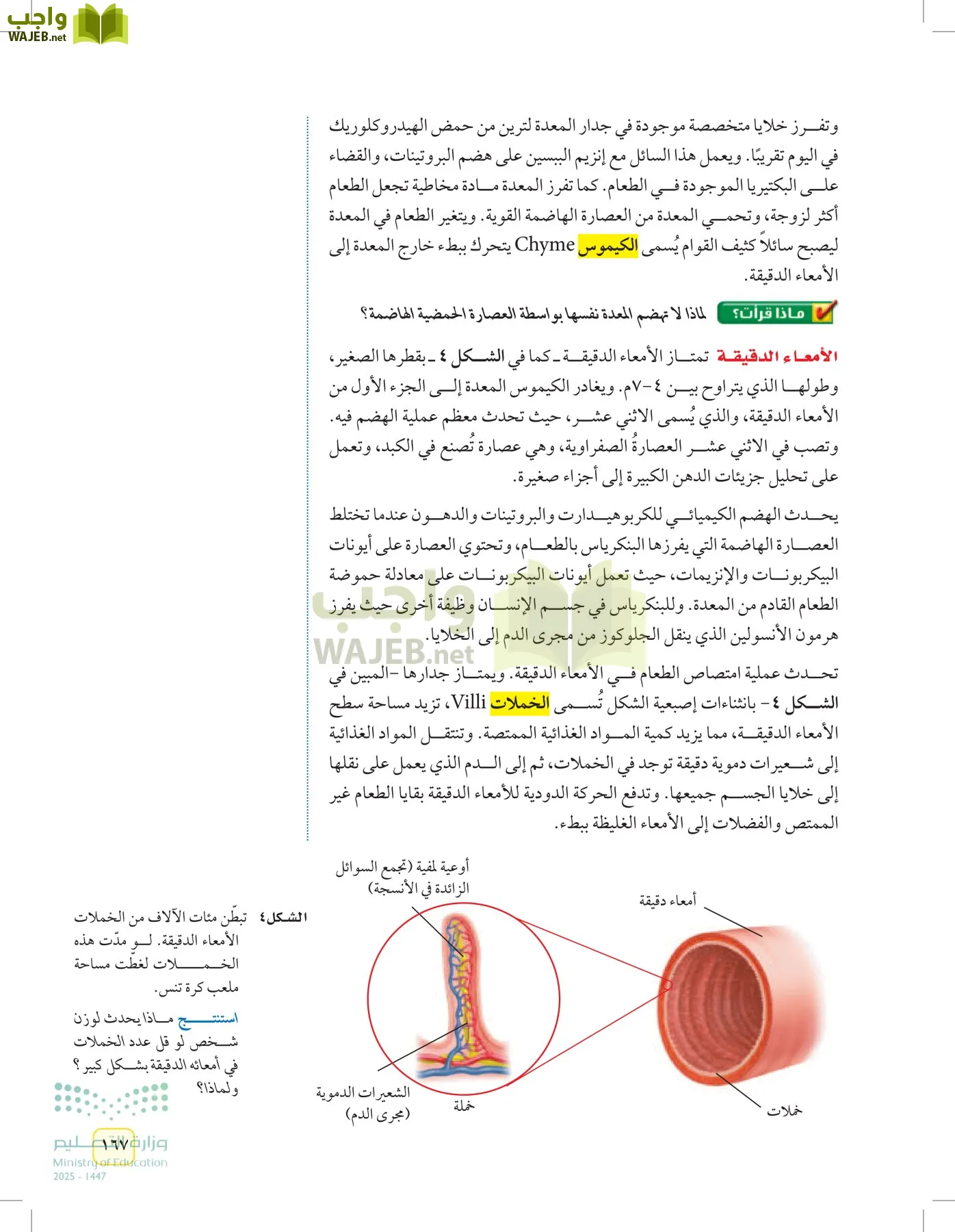 العلوم page-166