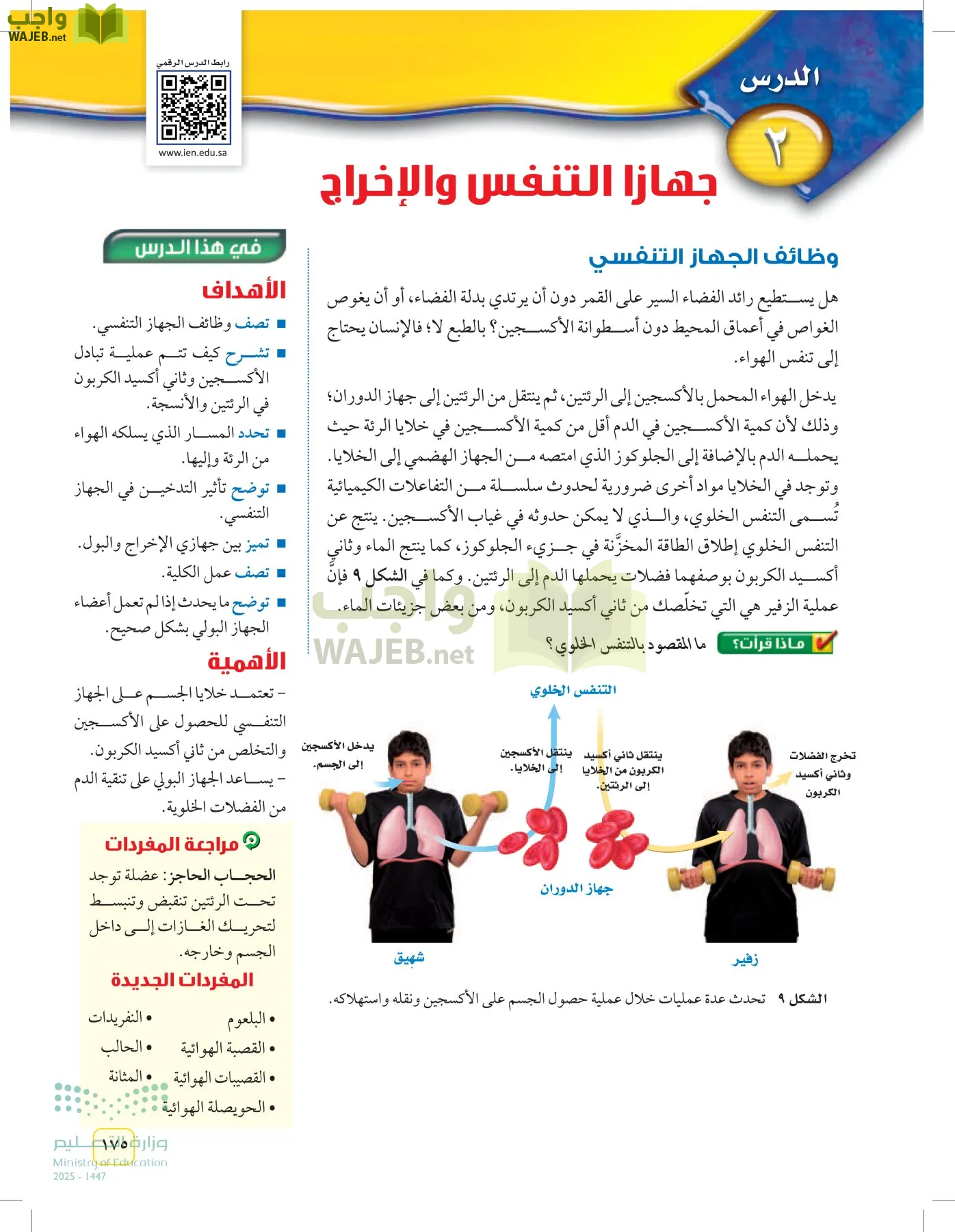 العلوم page-174