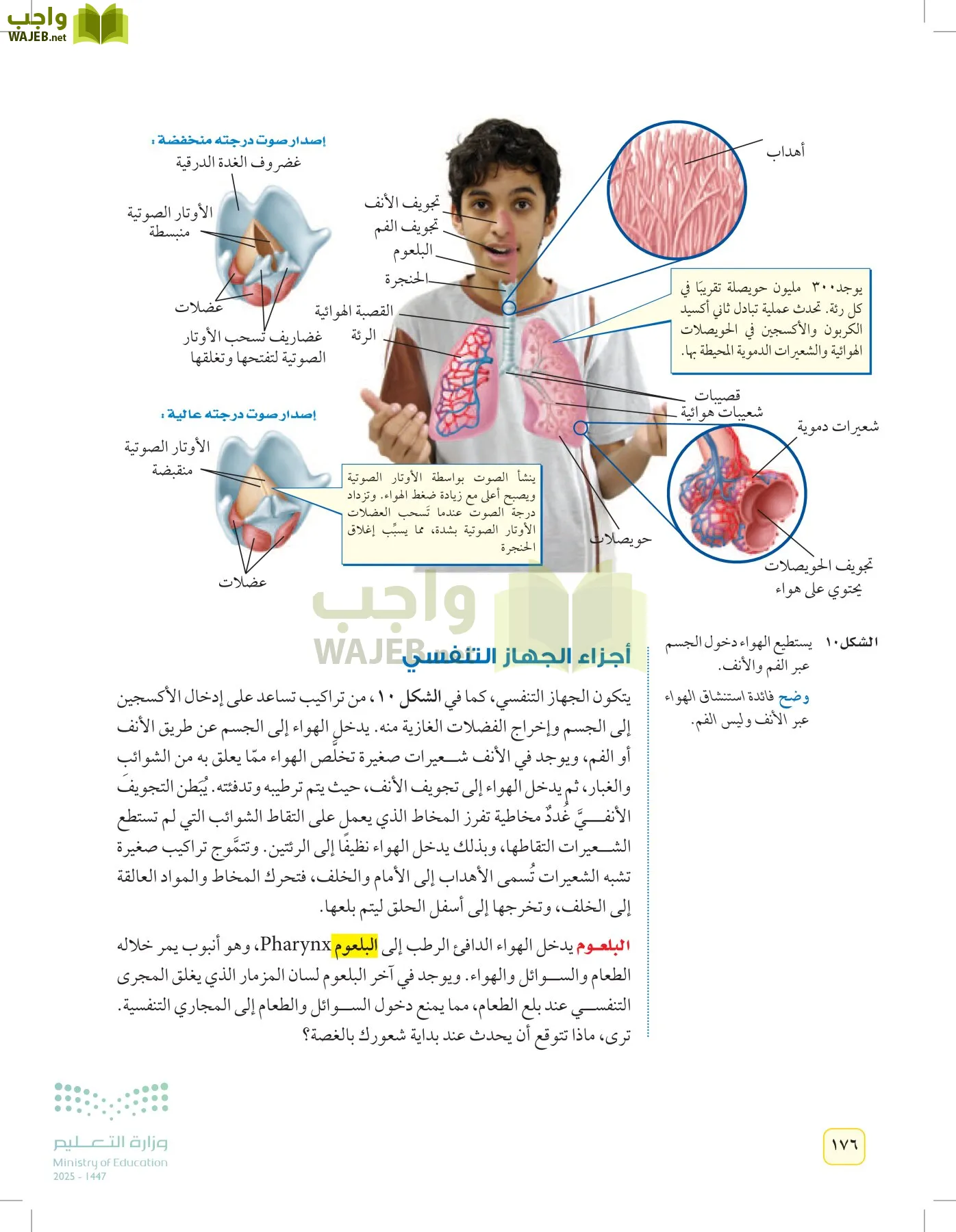 العلوم page-175