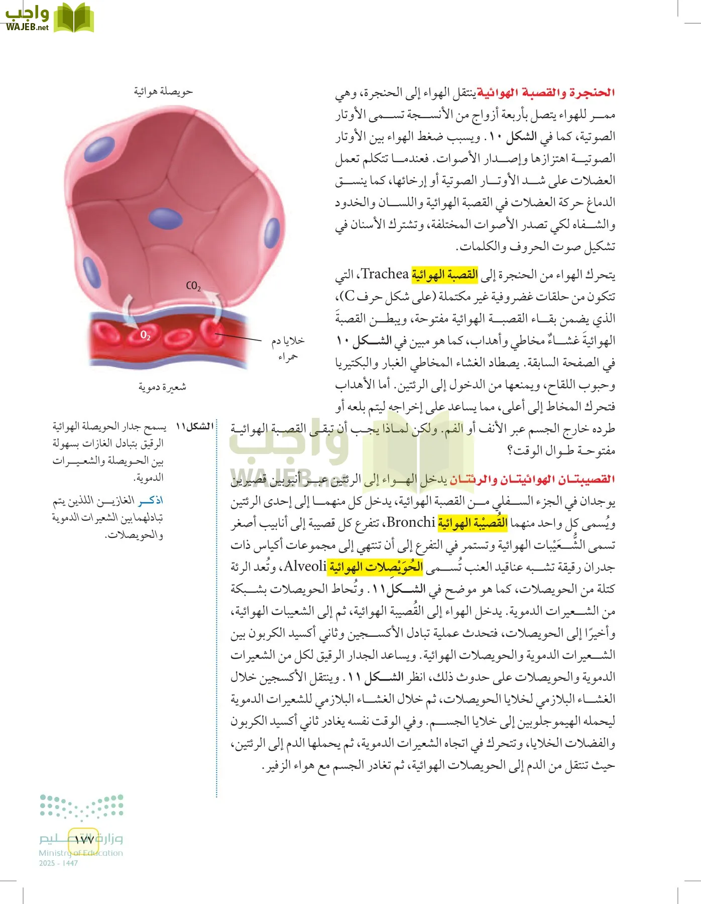 العلوم page-176