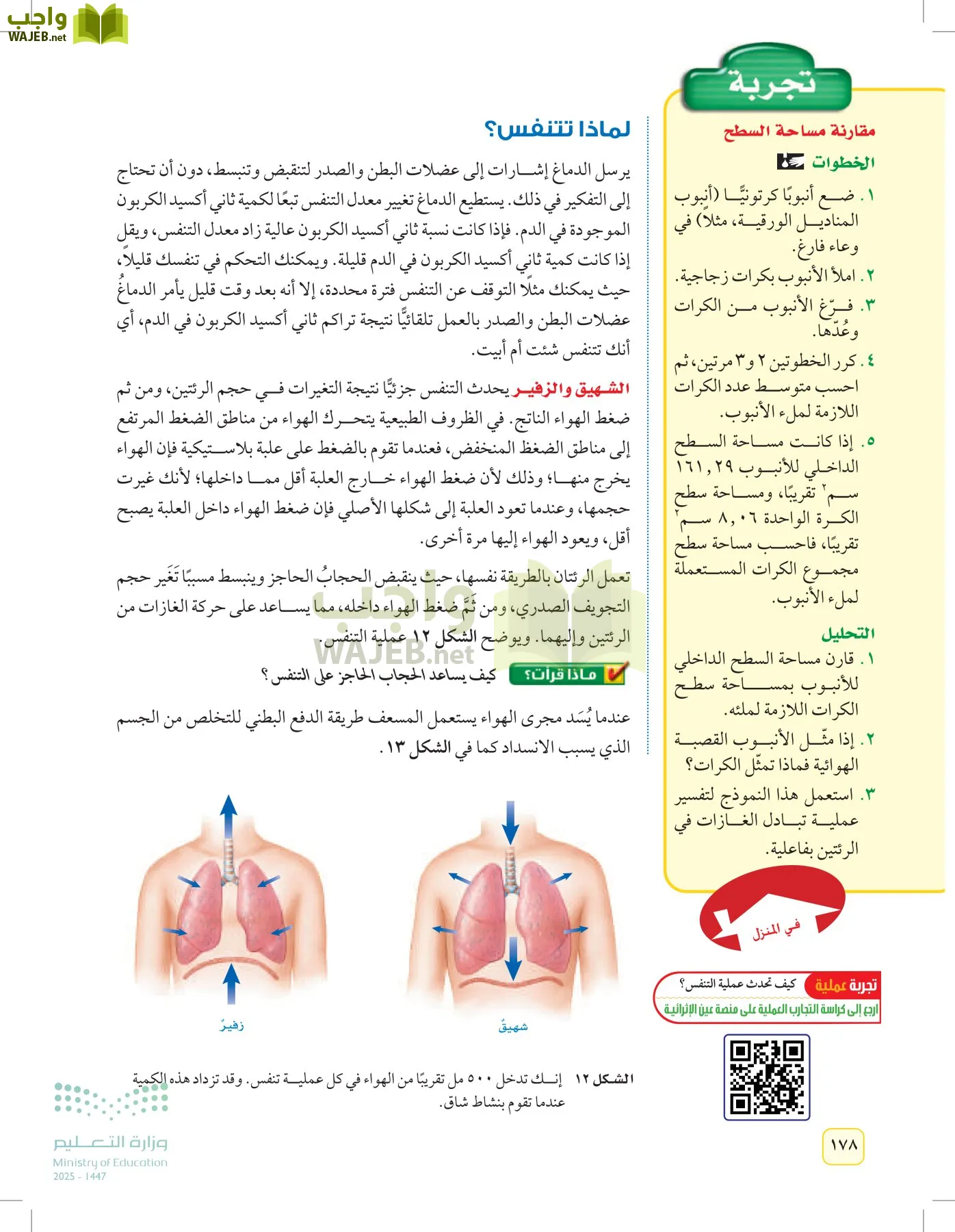 العلوم page-177