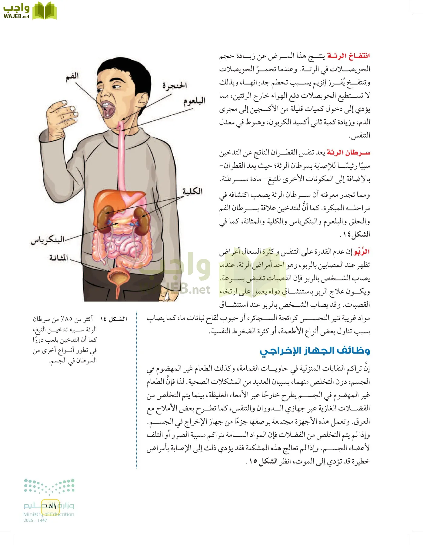 العلوم page-180