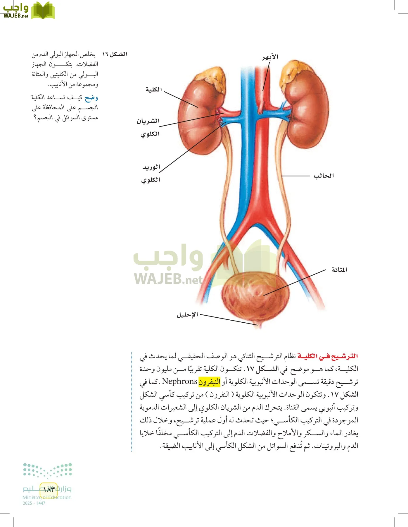 العلوم page-182