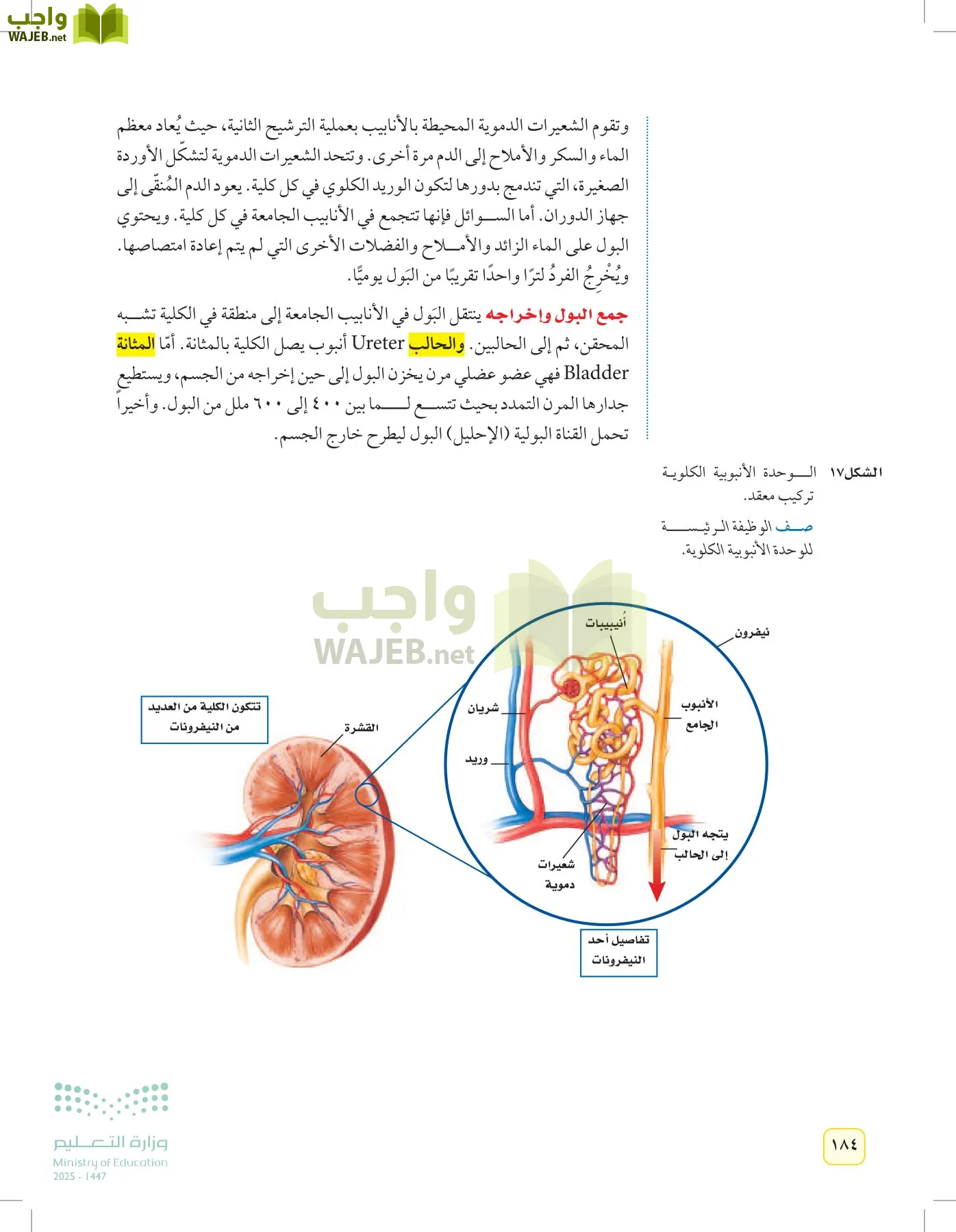 العلوم page-183