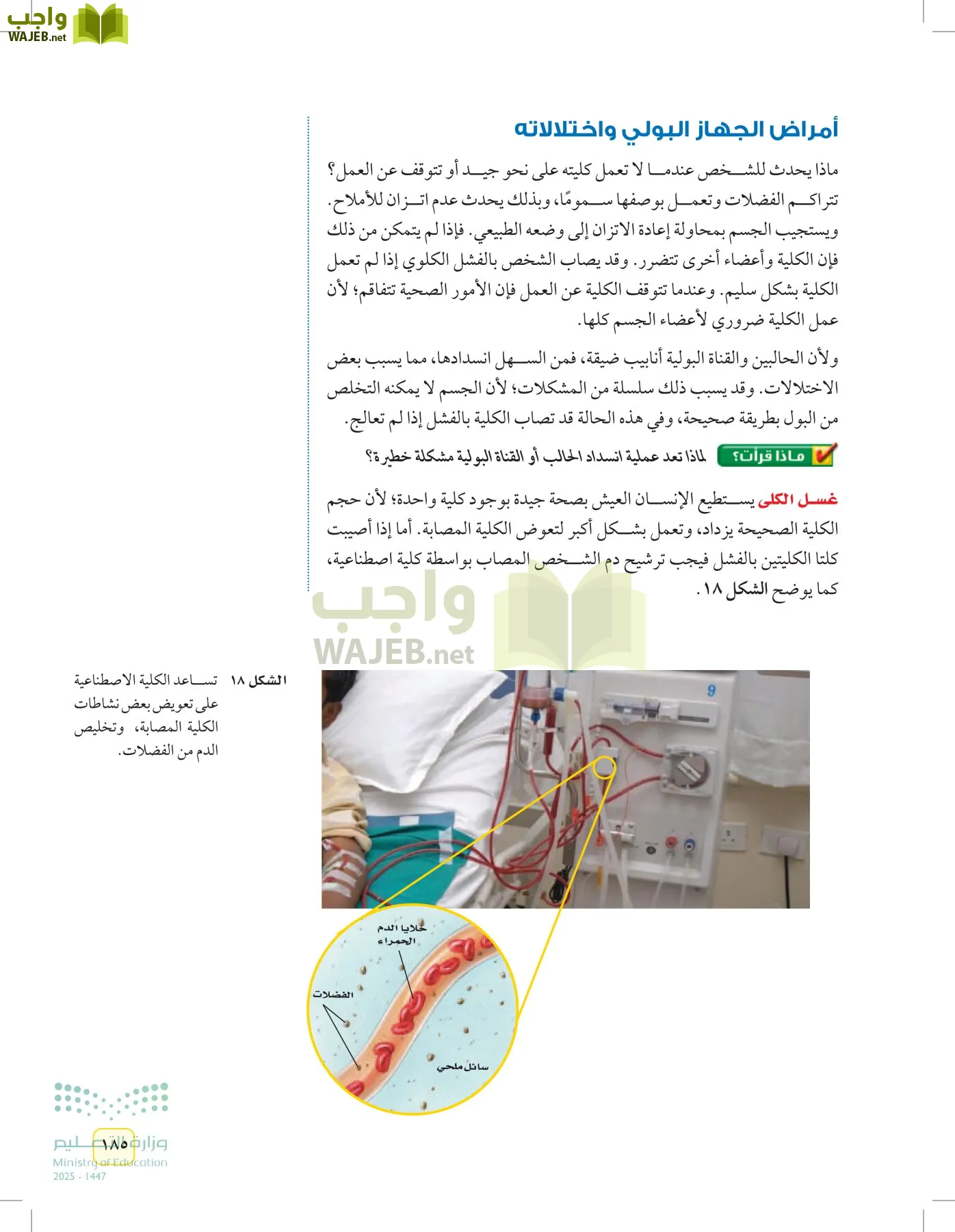 العلوم page-184