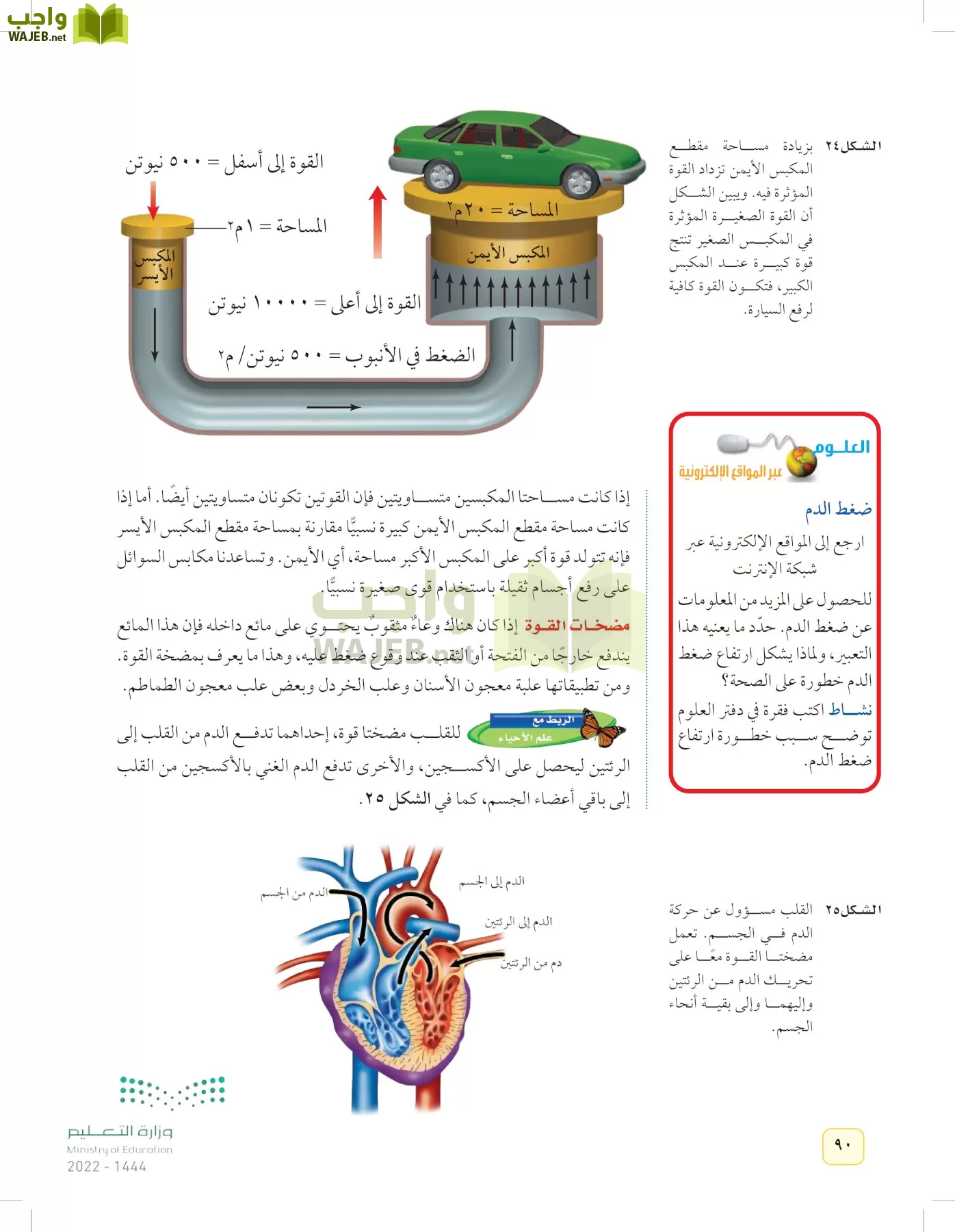 العلوم page-89