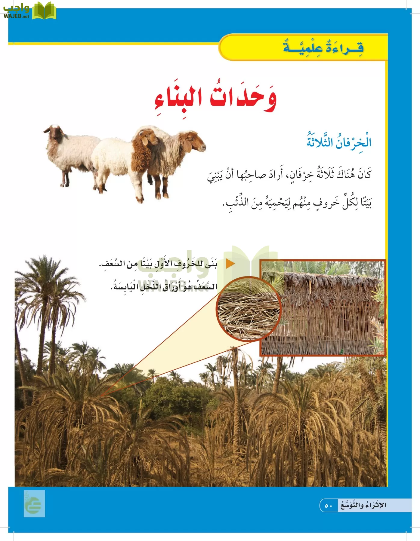 العلوم page-49