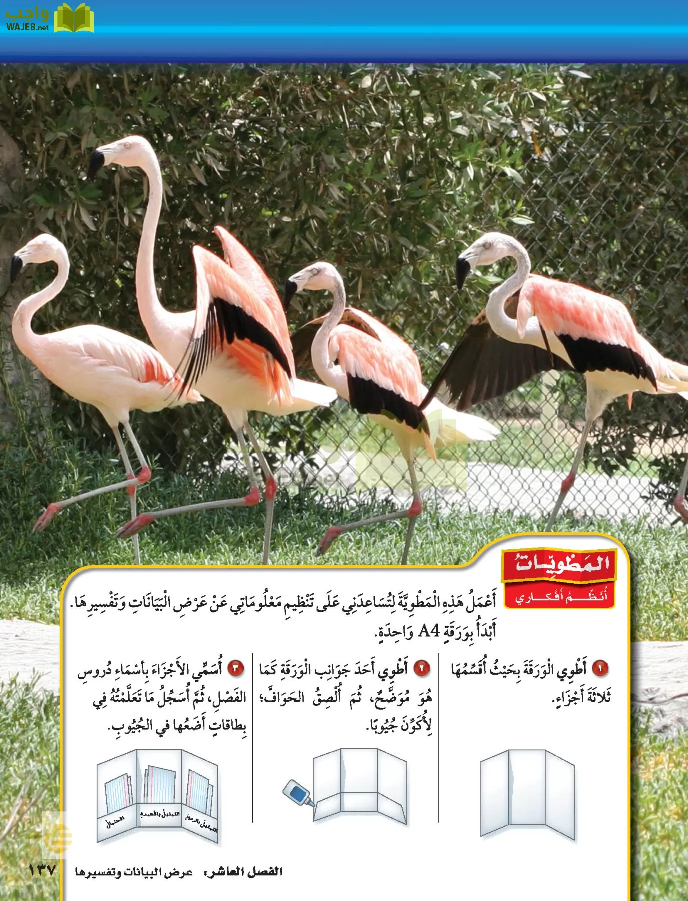 الرياضيات page-136