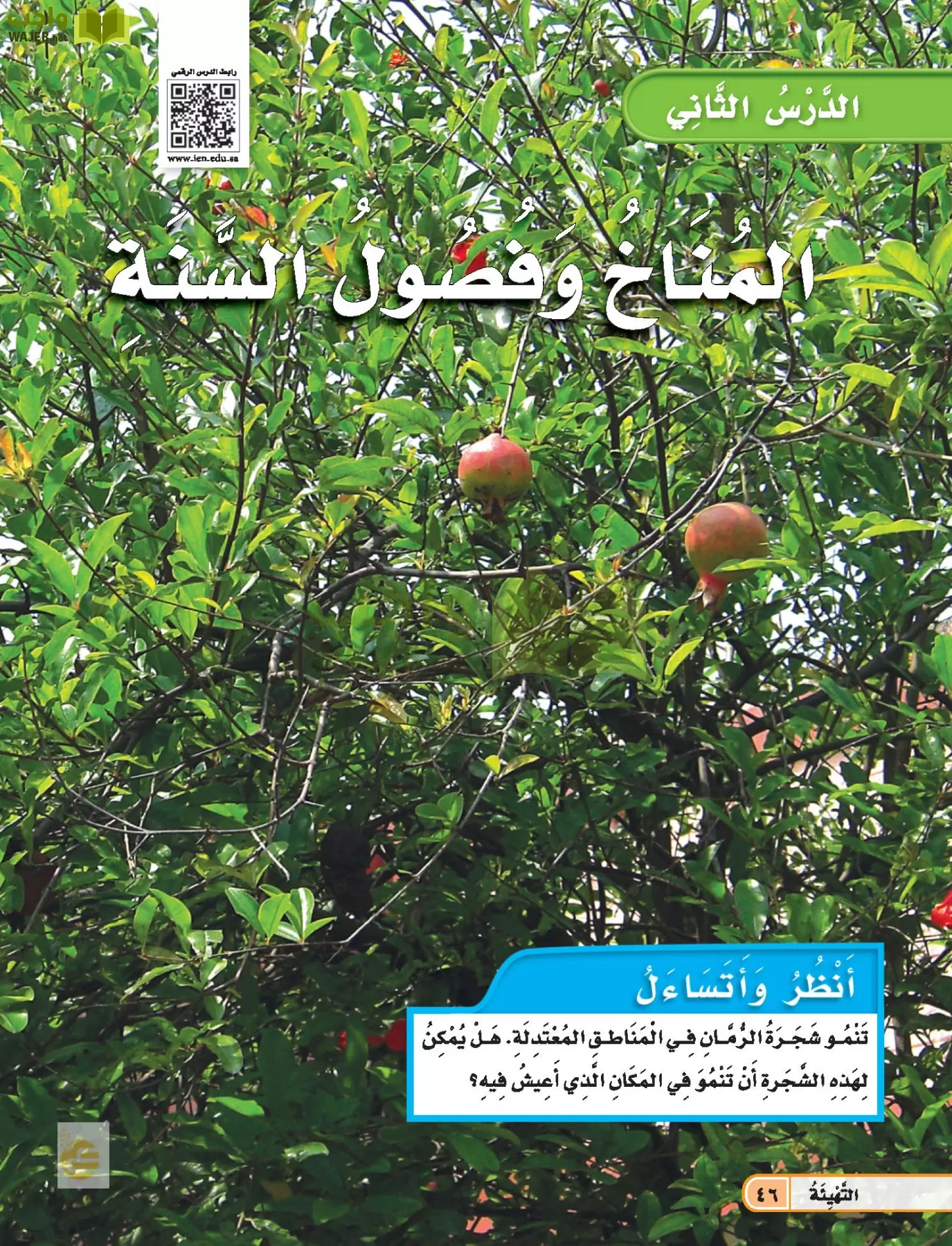 العلوم page-45