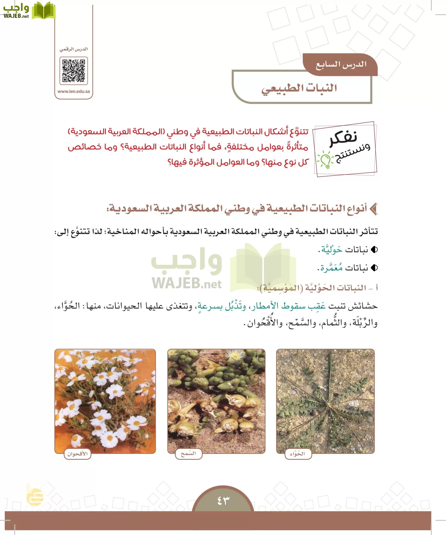 الدراسات الاجتماعية والمواطنة page-40