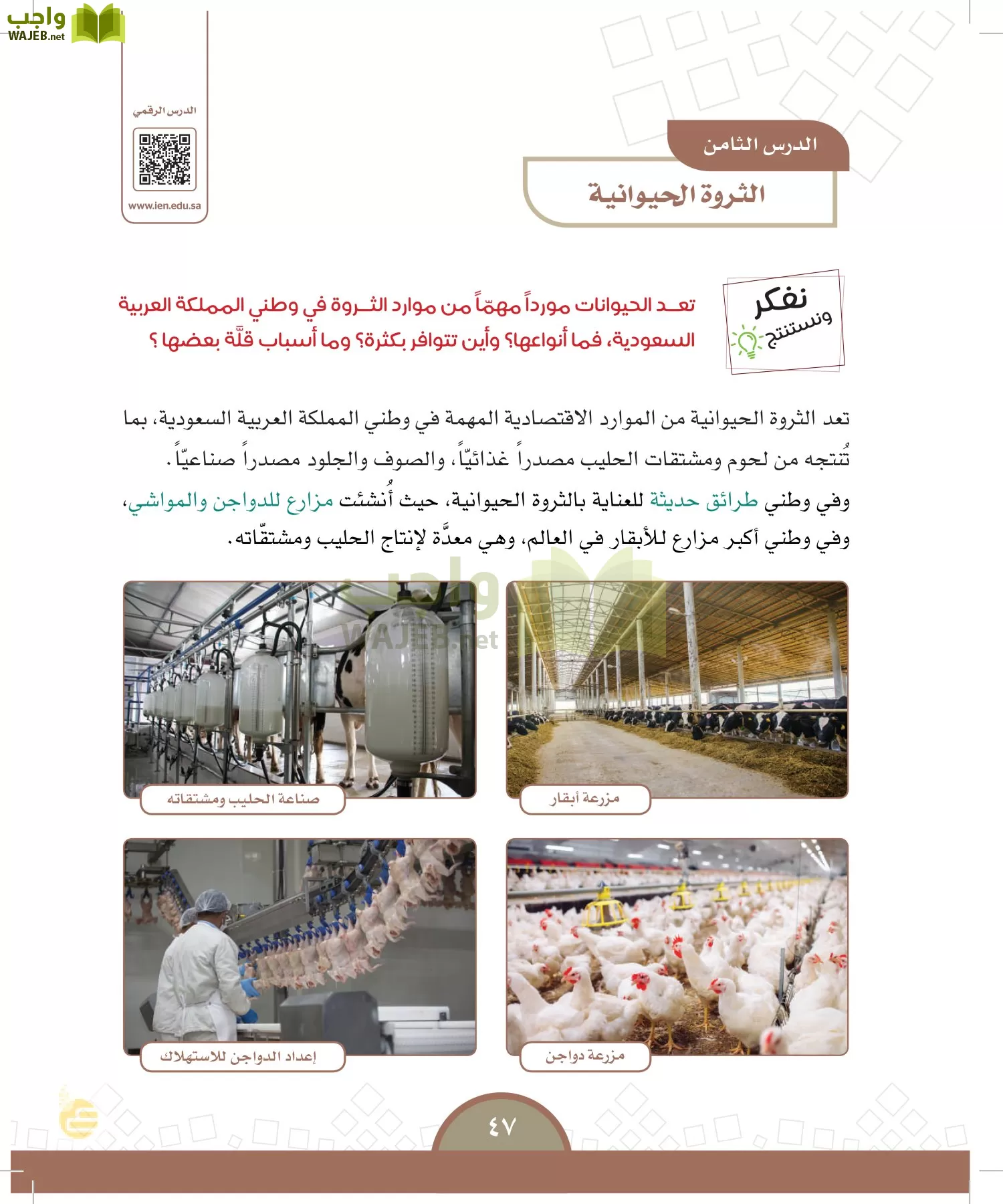 الدراسات الاجتماعية والمواطنة page-44