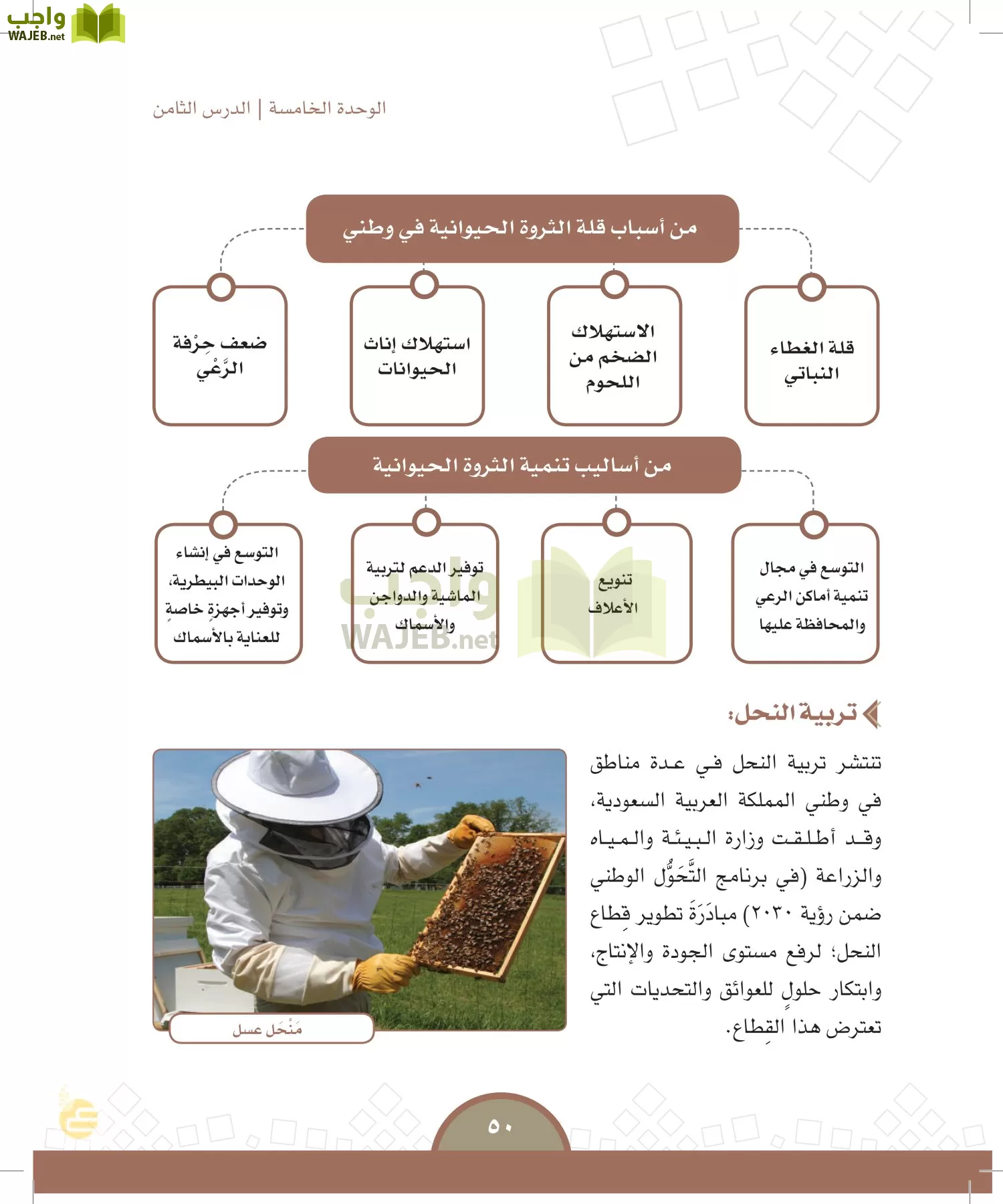 الدراسات الاجتماعية والمواطنة page-47