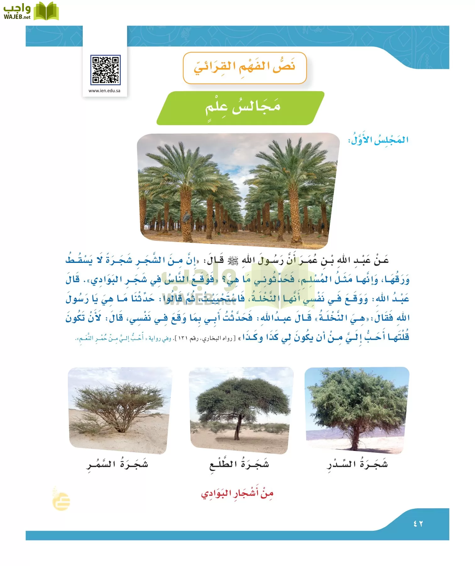 لغتي الجميله page-41