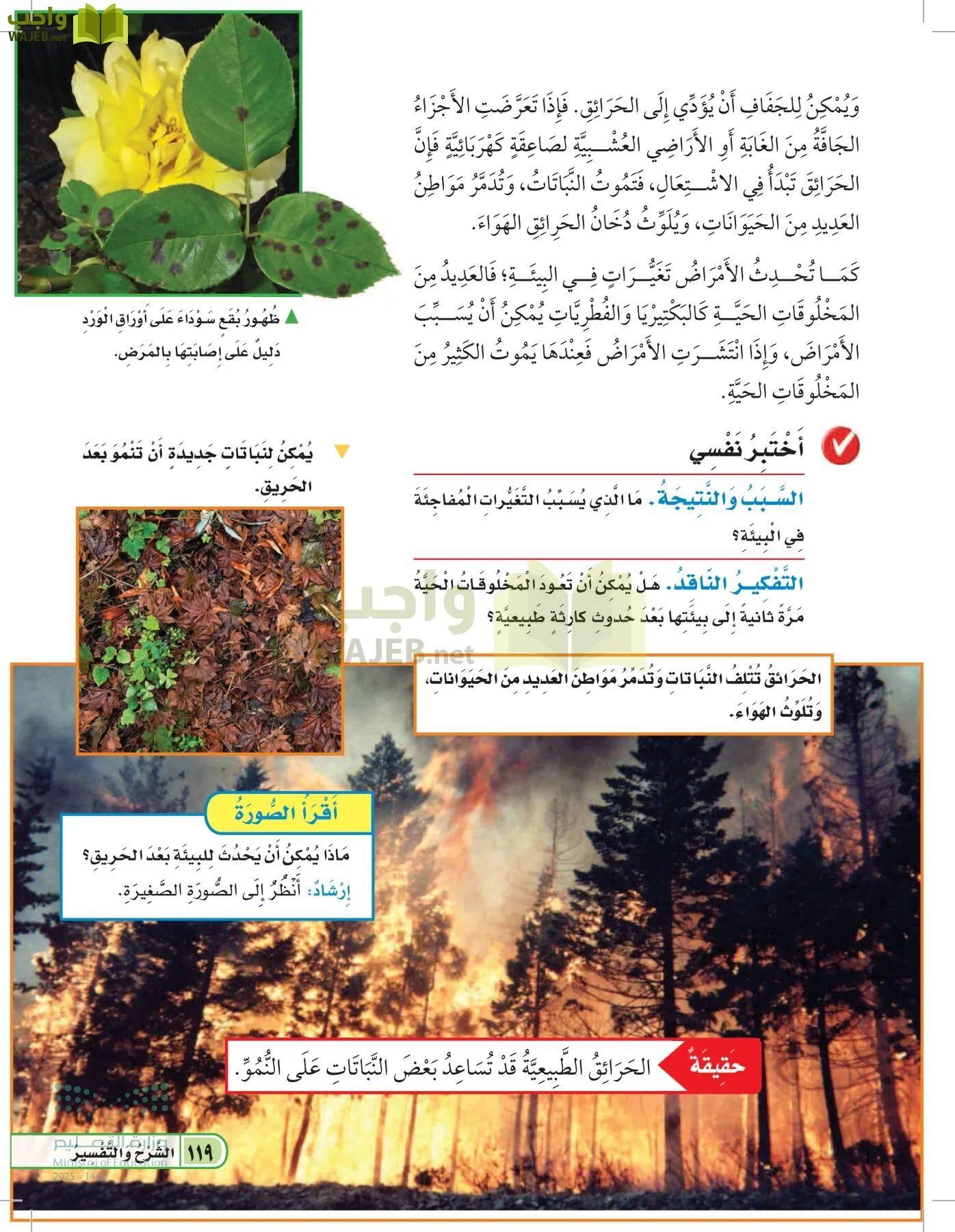 العلوم page-118