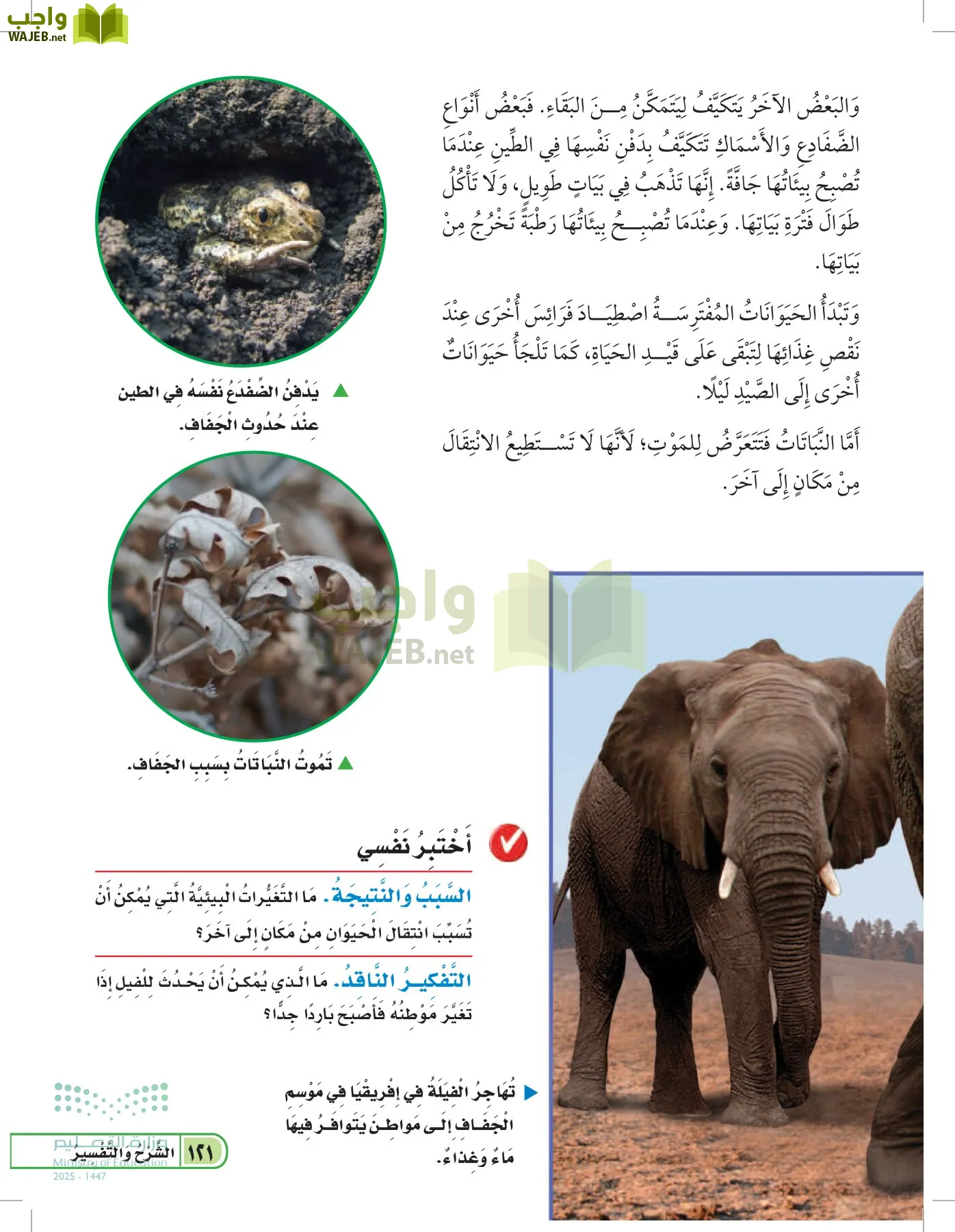 العلوم page-120