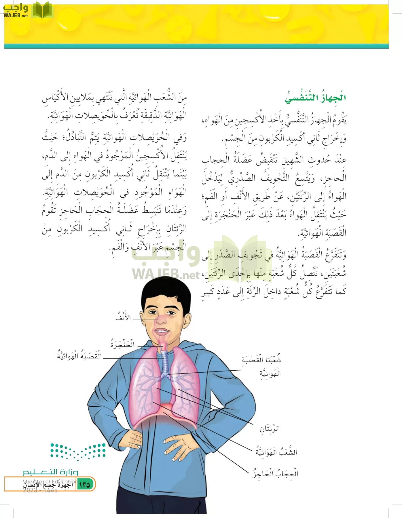 العلوم page-134