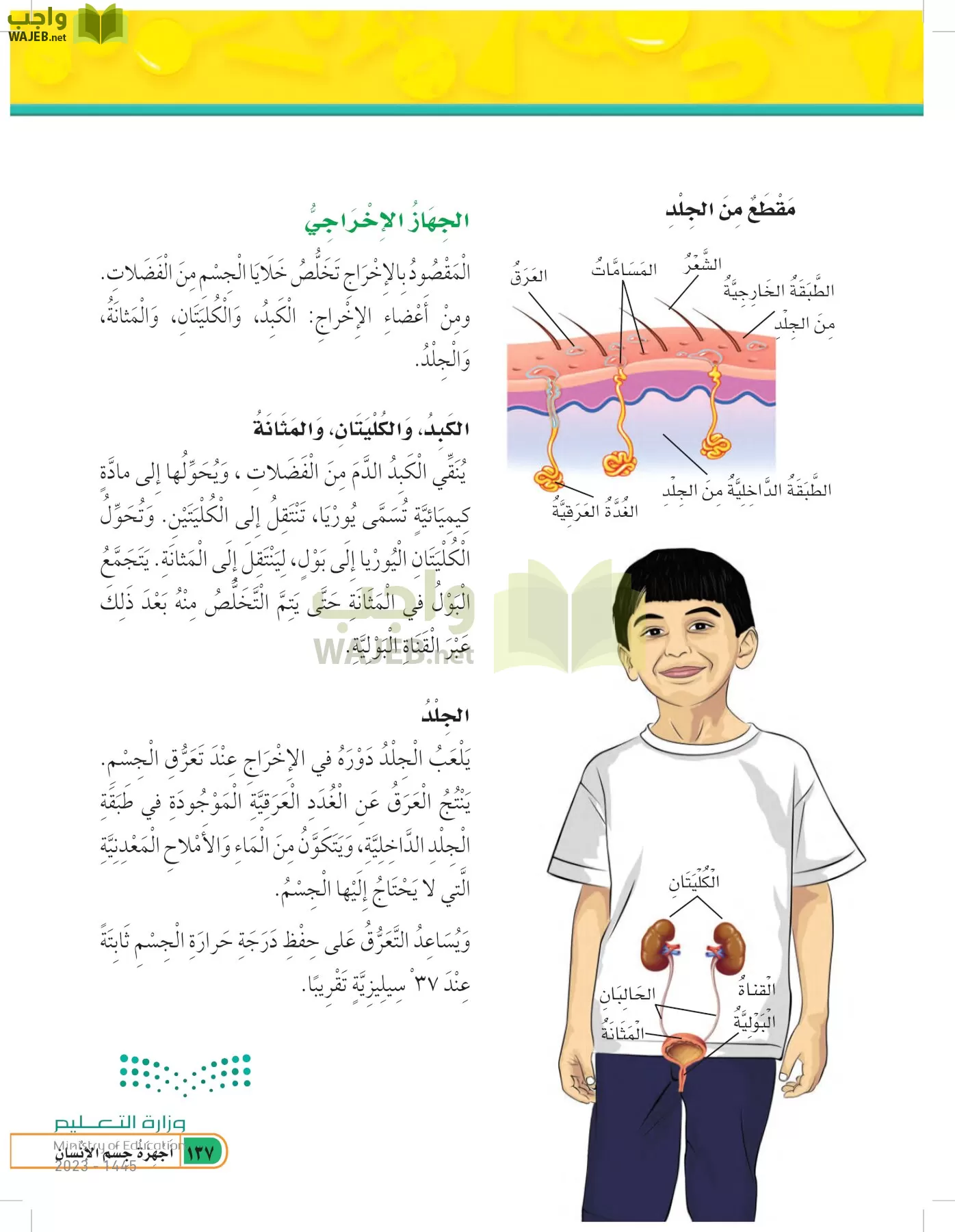 العلوم page-136