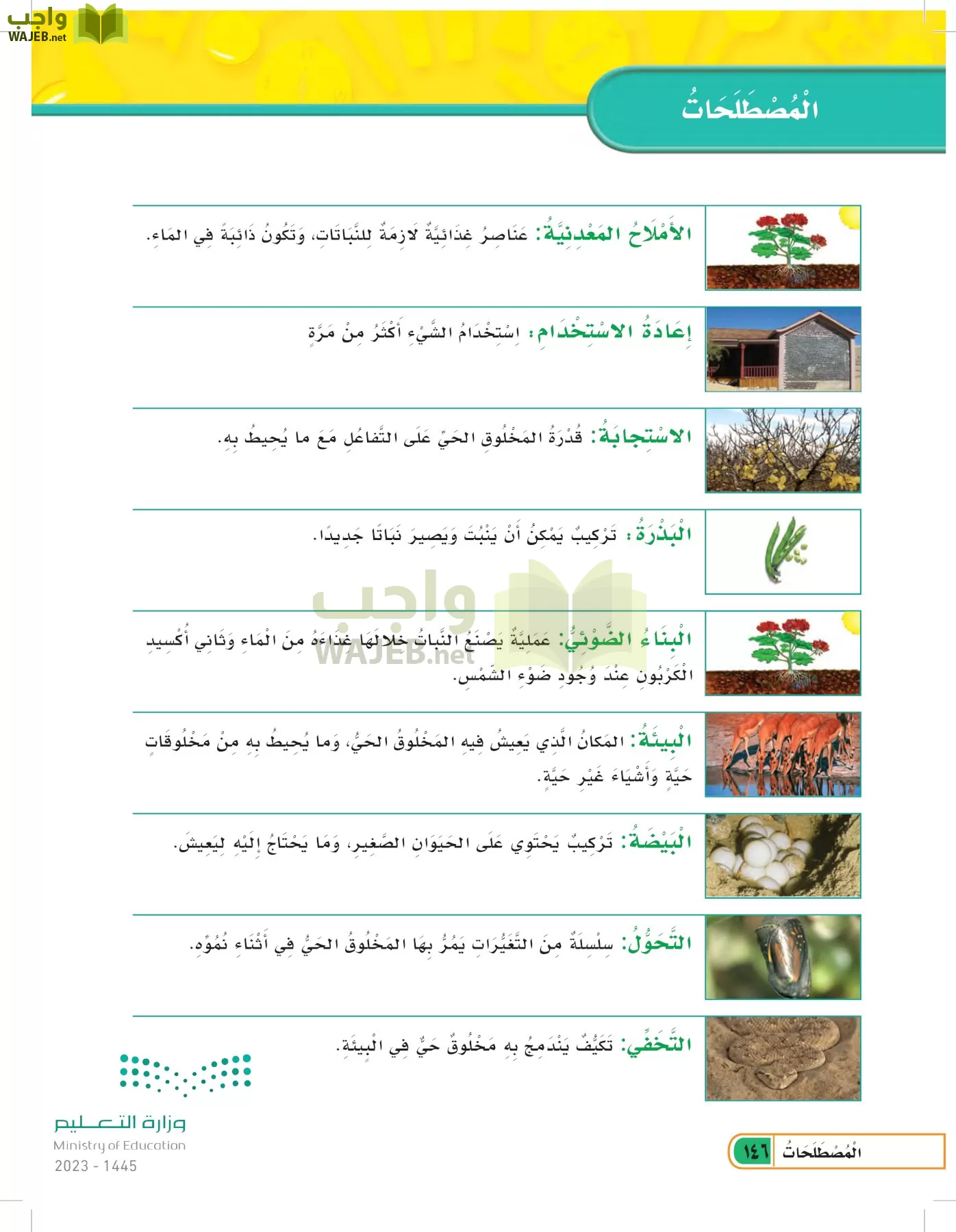 العلوم page-145