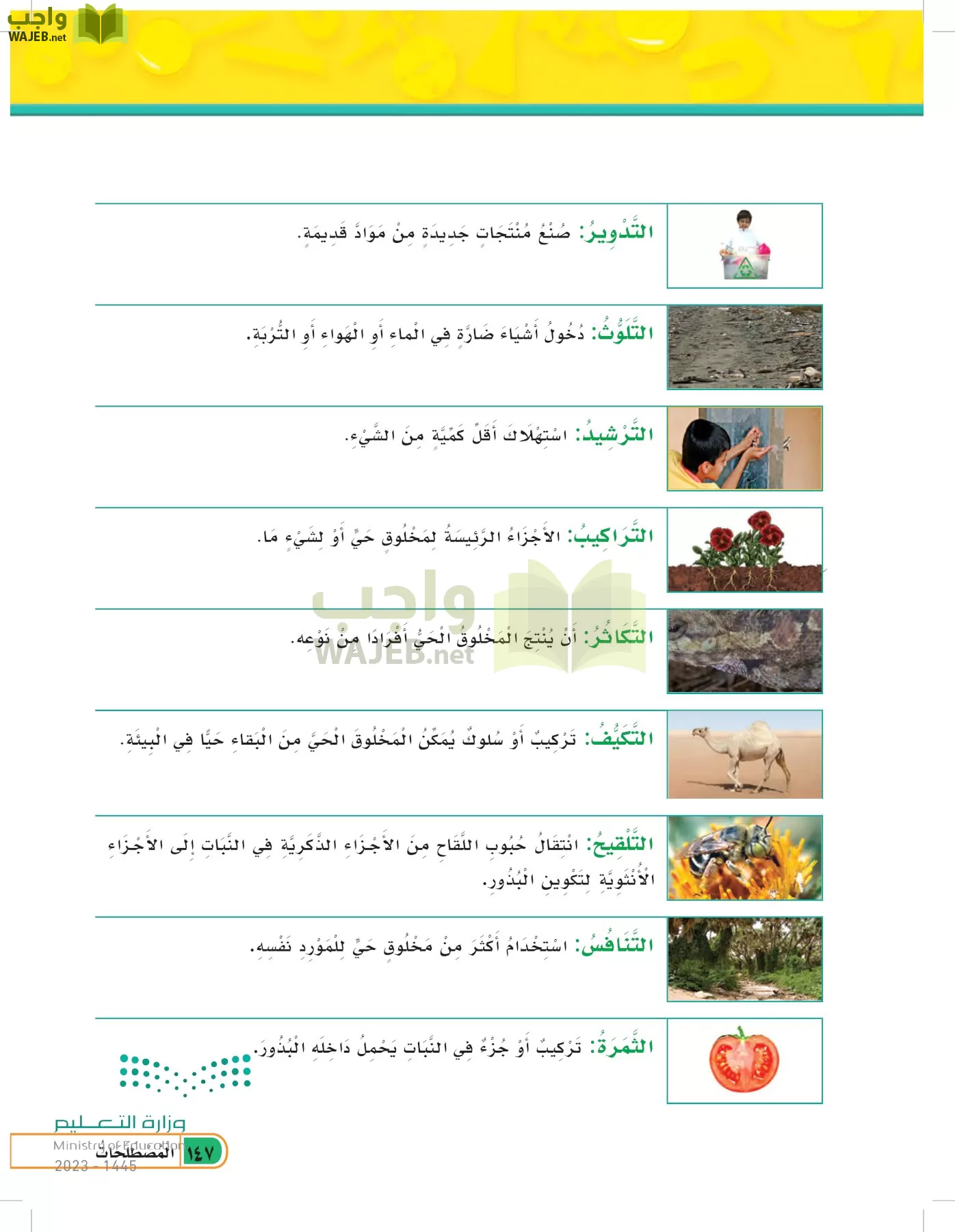 العلوم page-146