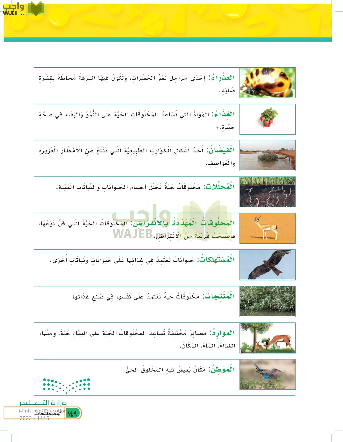 العلوم page-148