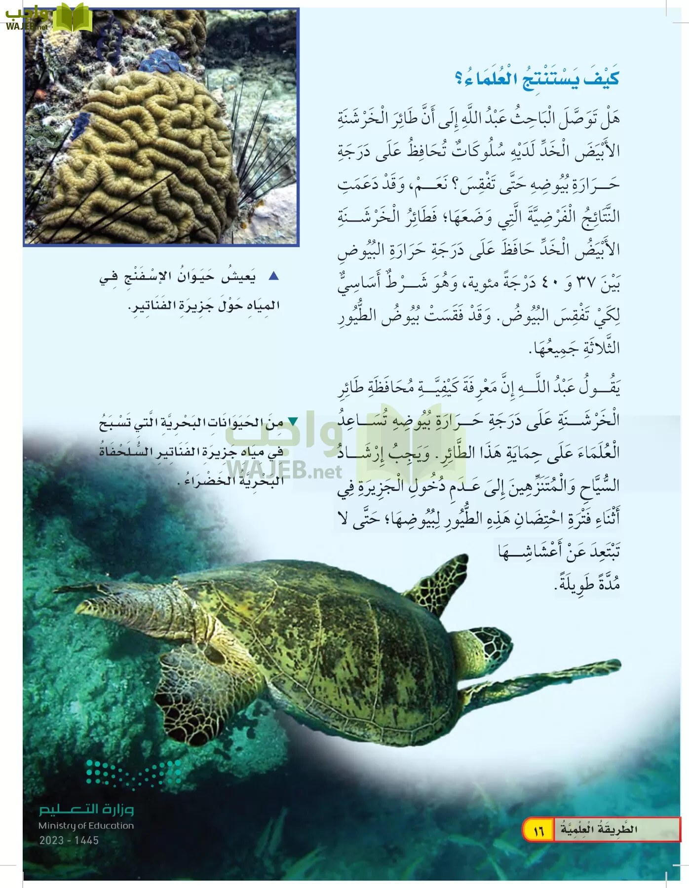 العلوم page-15