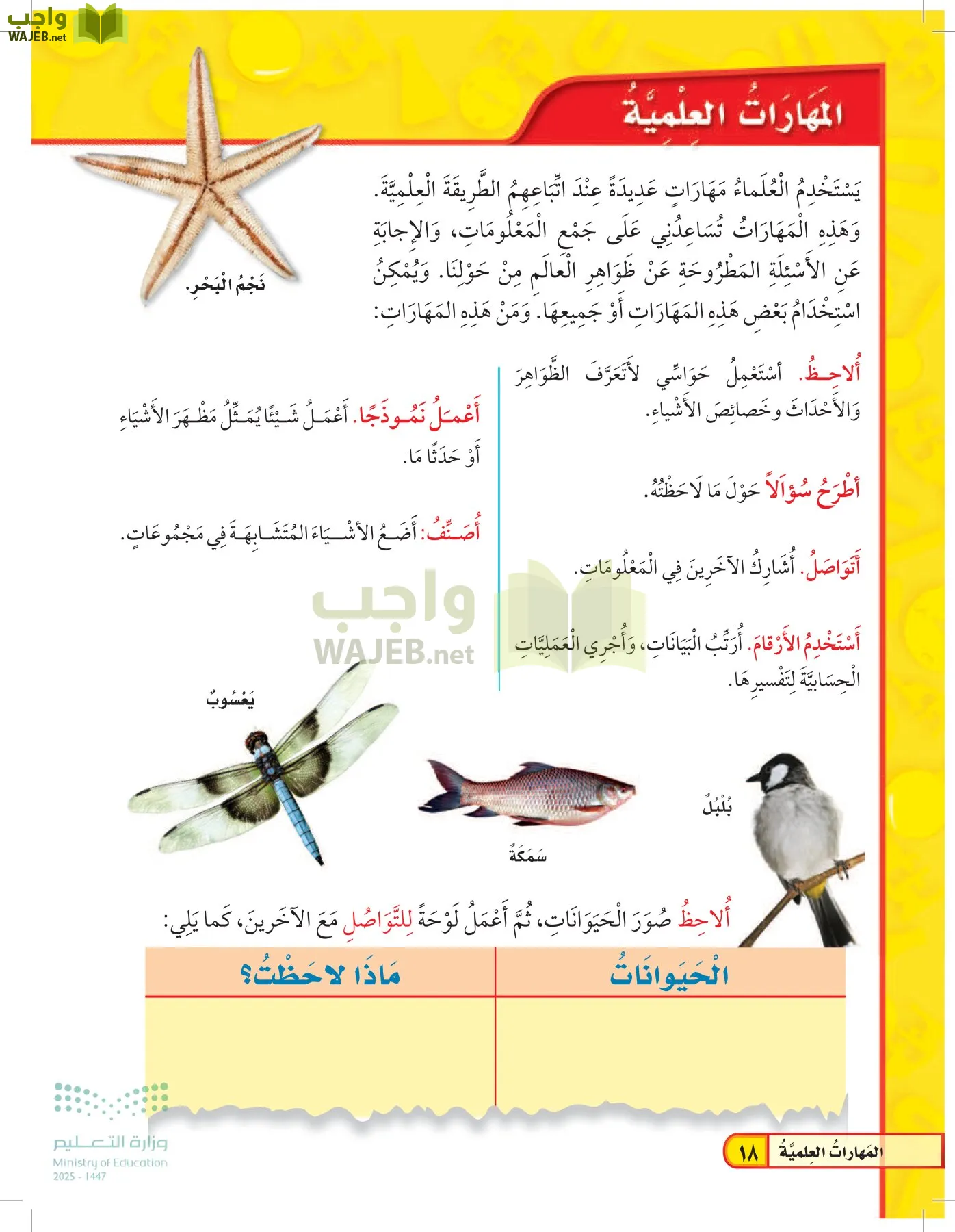 العلوم page-17