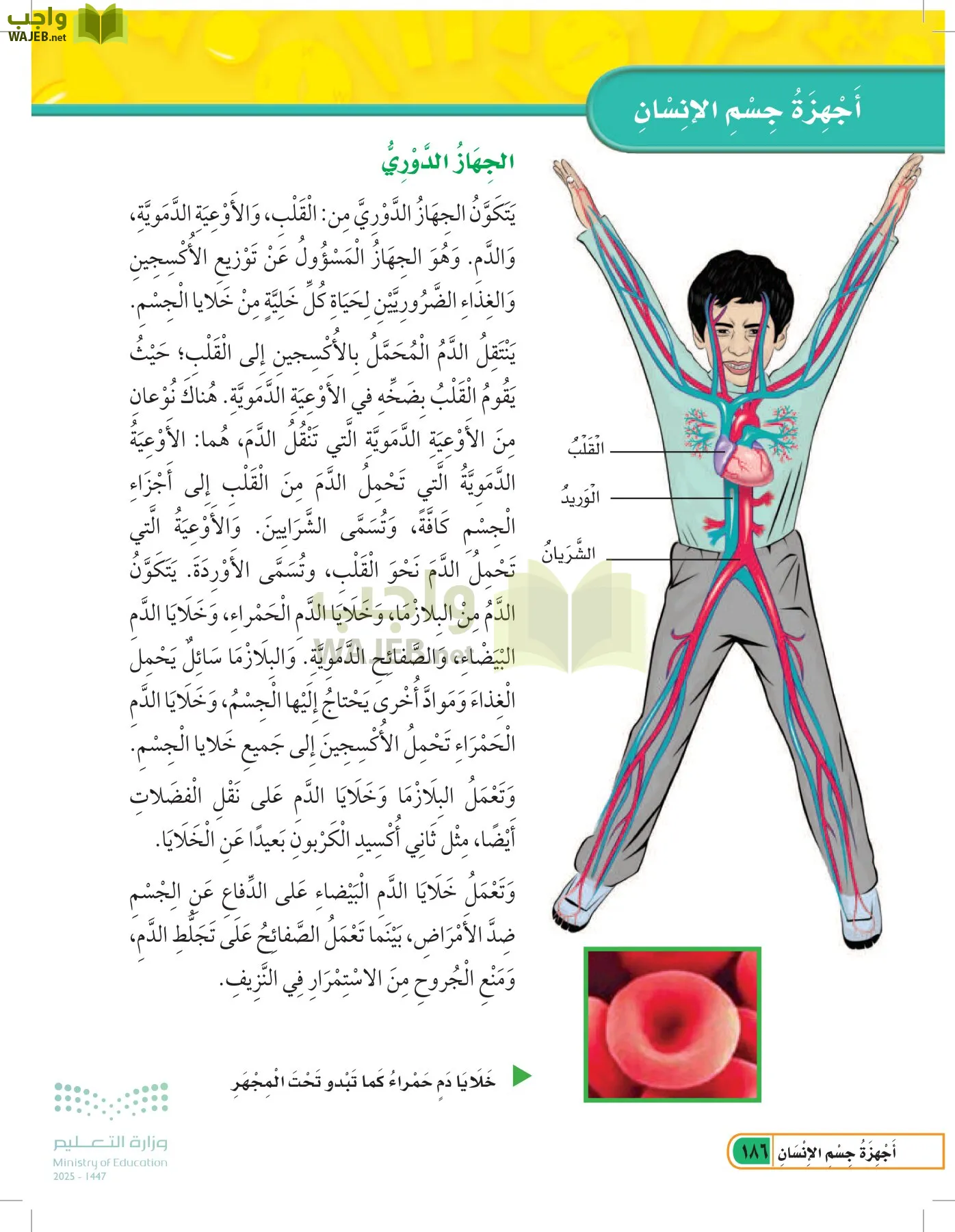 العلوم page-185