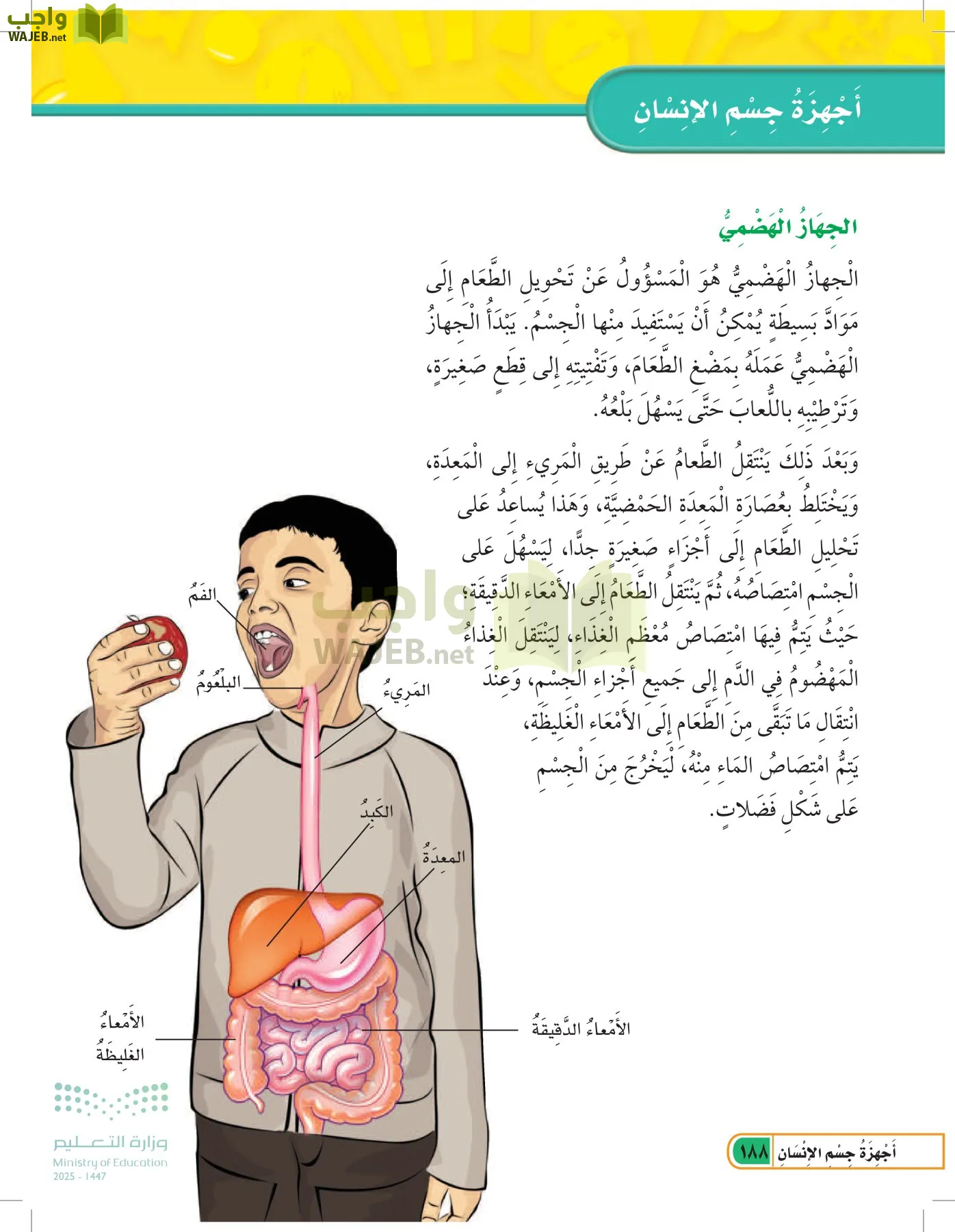 العلوم page-187