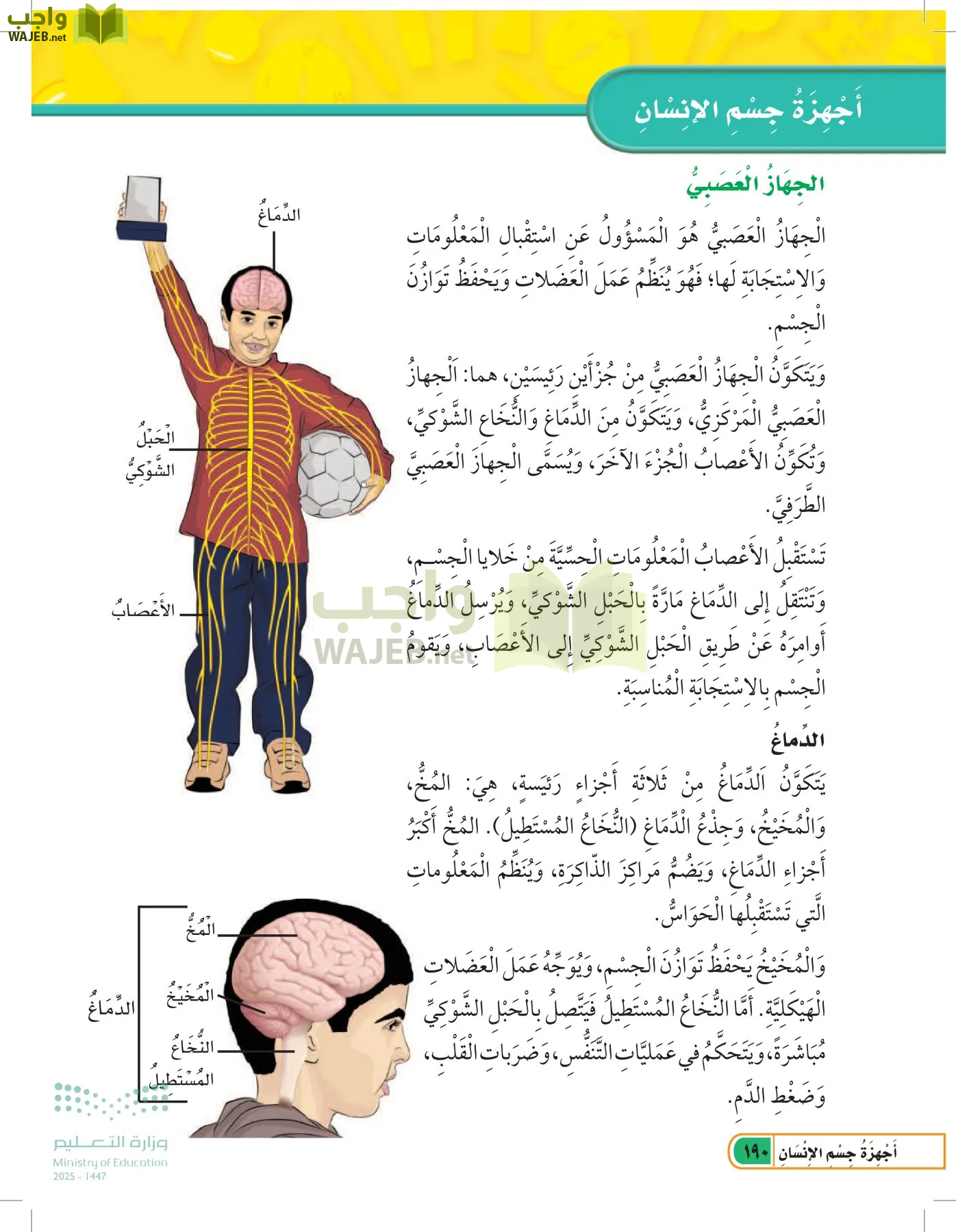 العلوم page-189