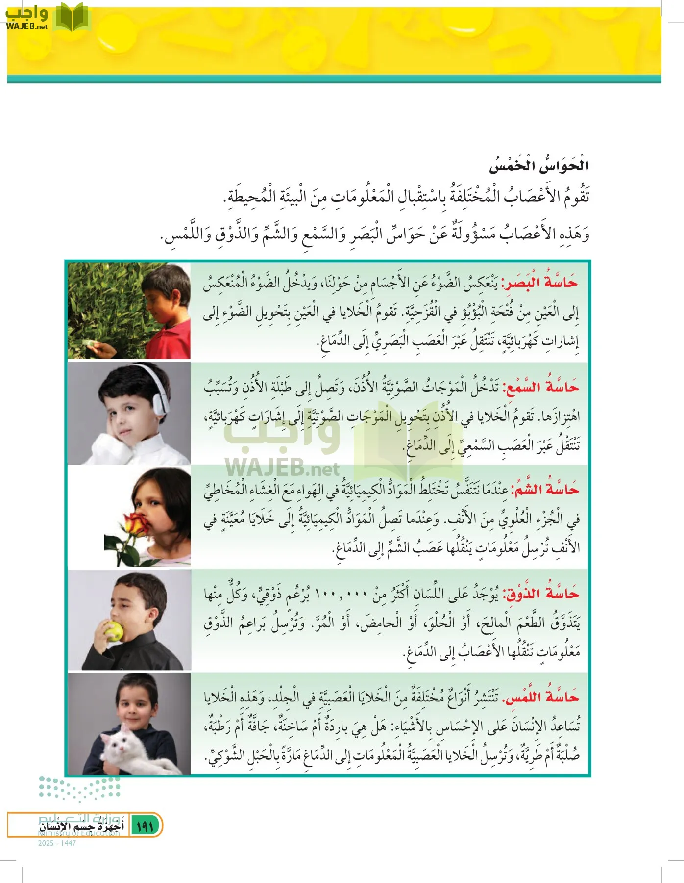 العلوم page-190