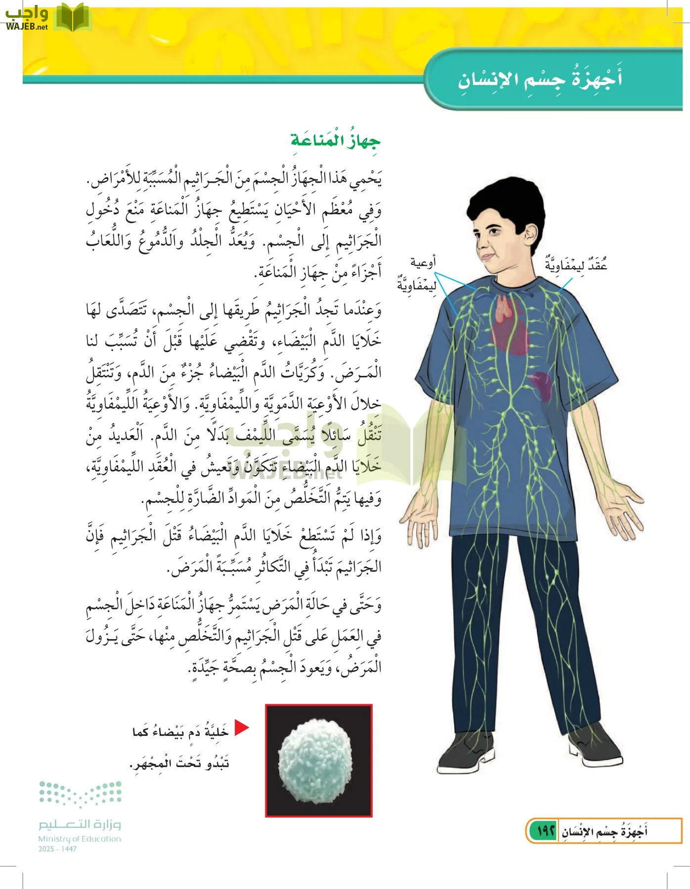 العلوم page-191