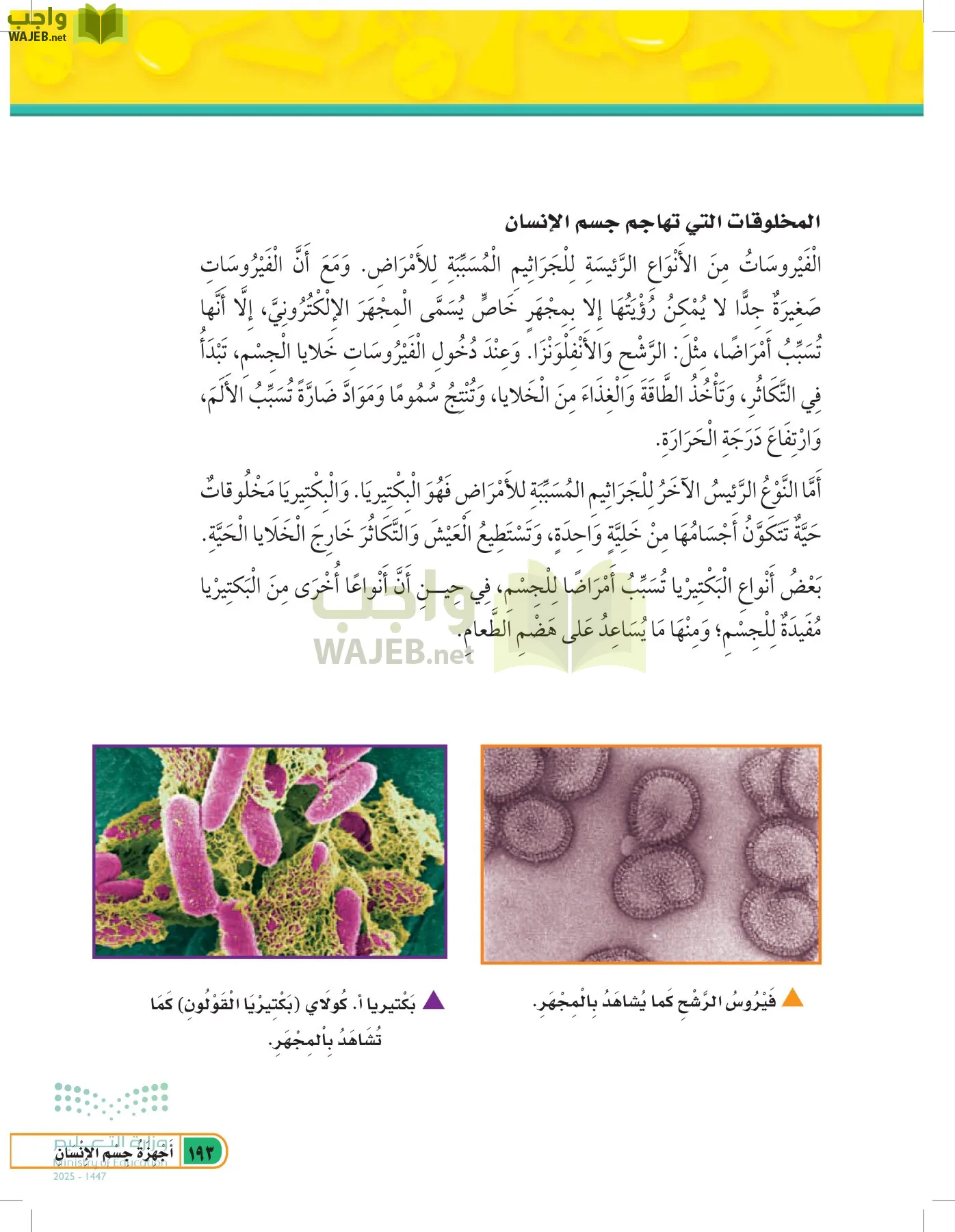 العلوم page-192
