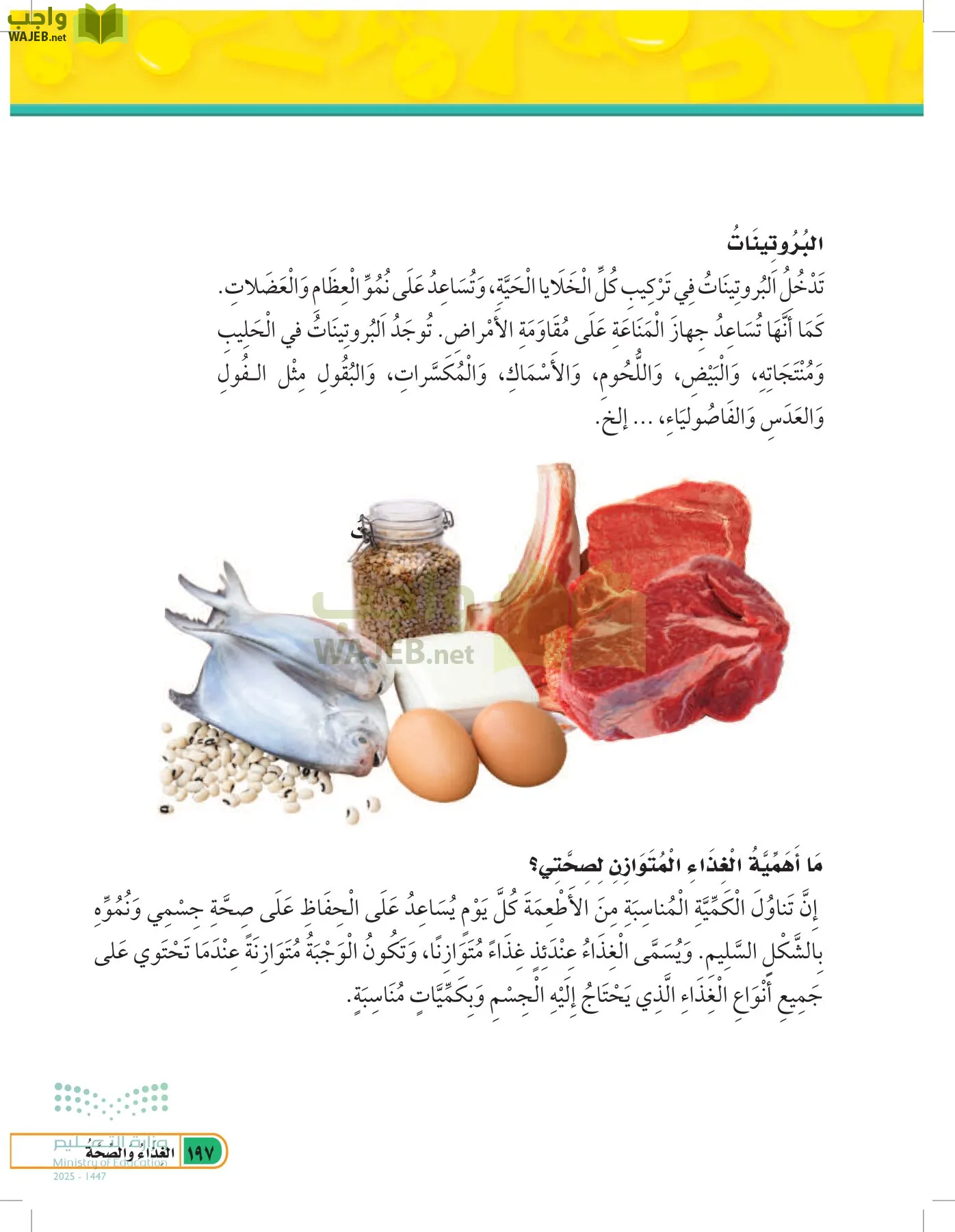 العلوم page-196