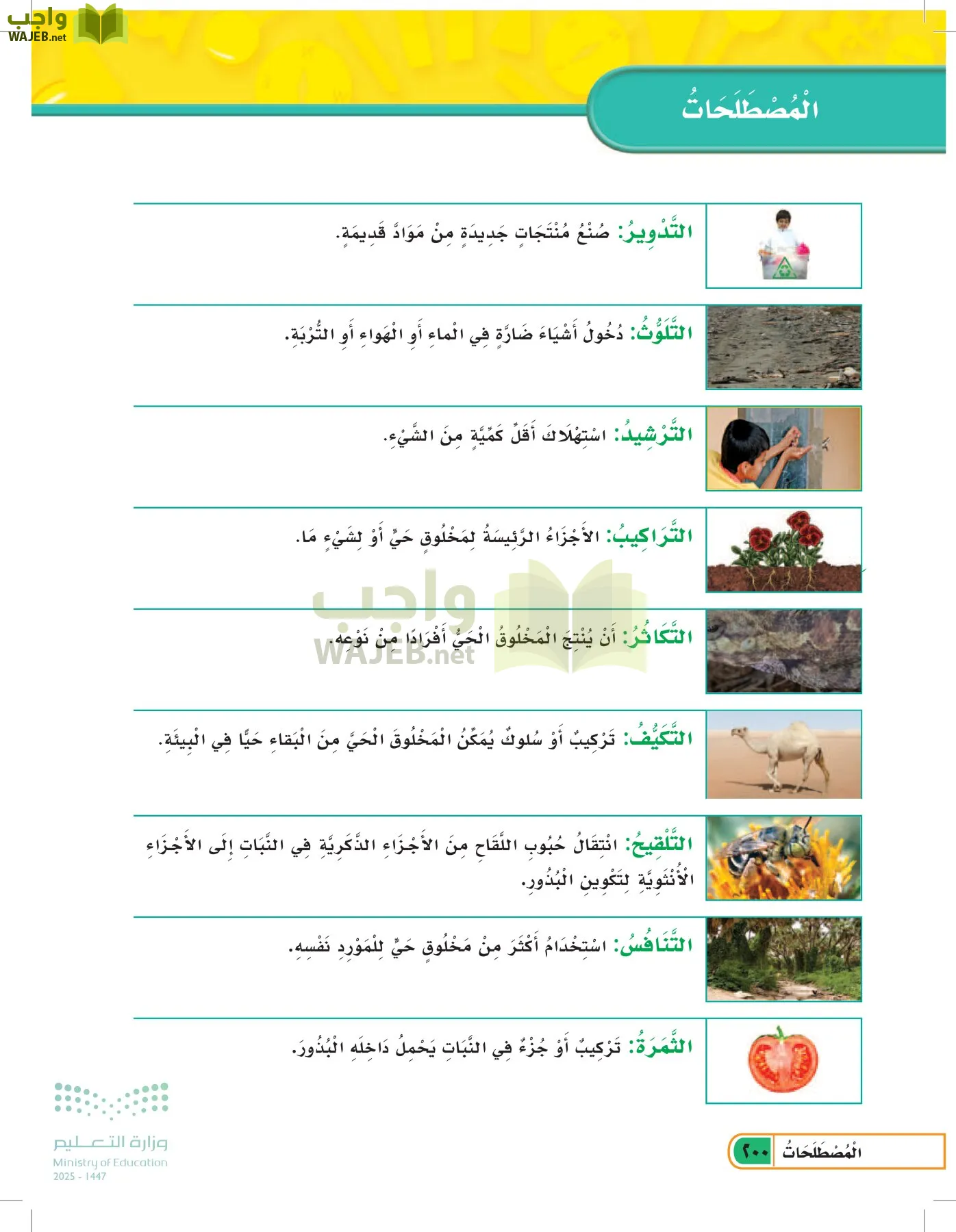 العلوم page-199