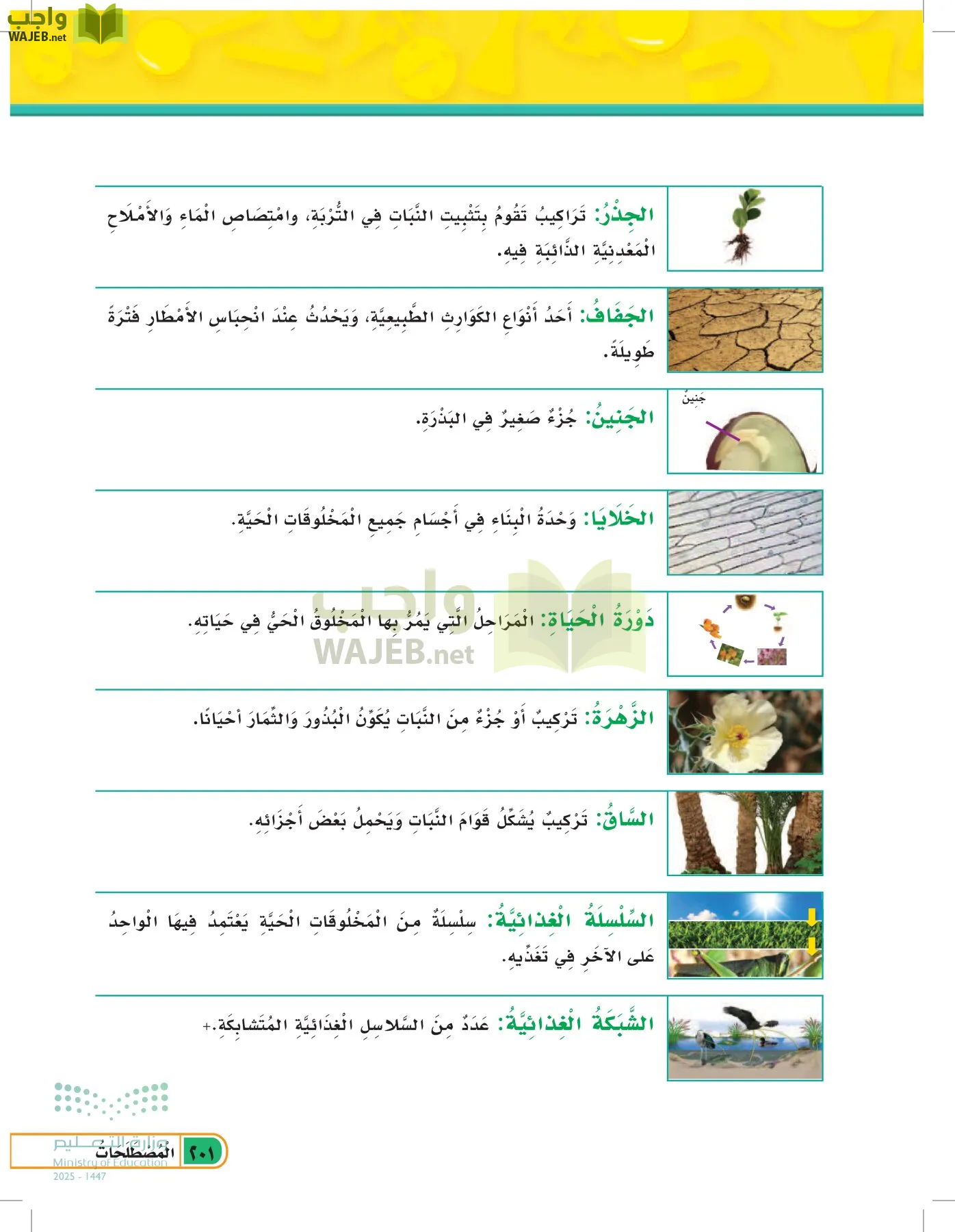 العلوم page-200