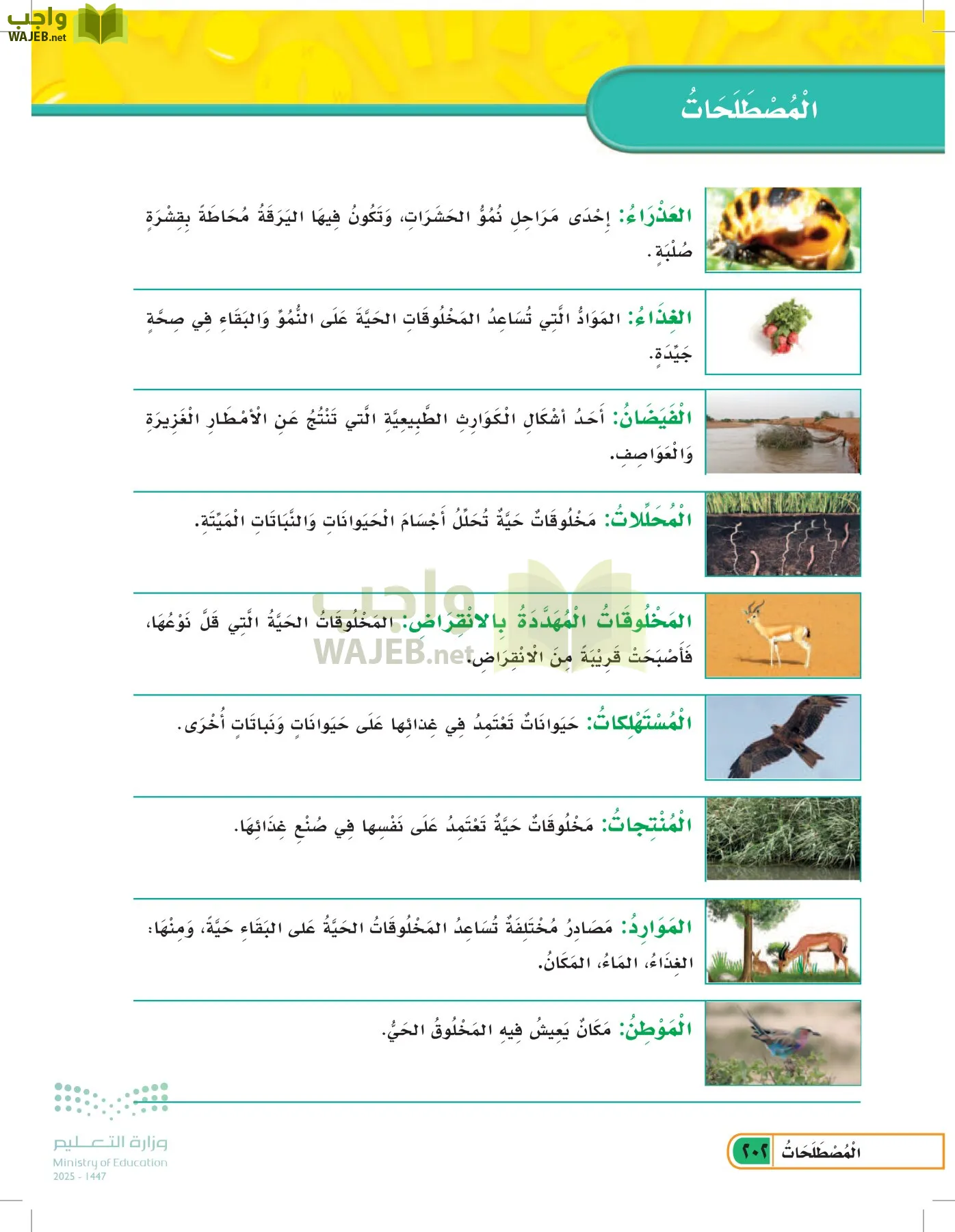 العلوم page-201