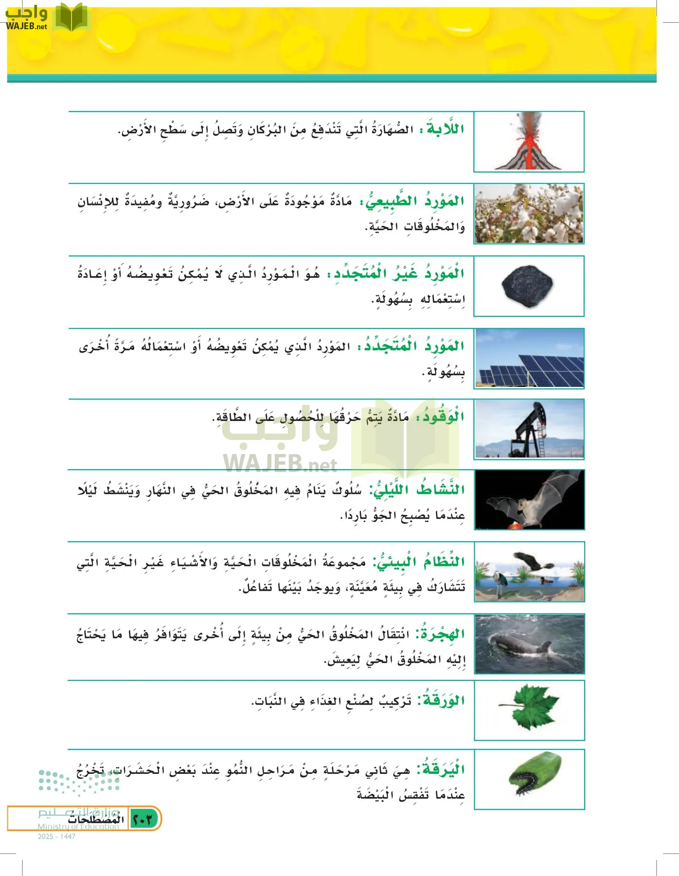 العلوم page-202