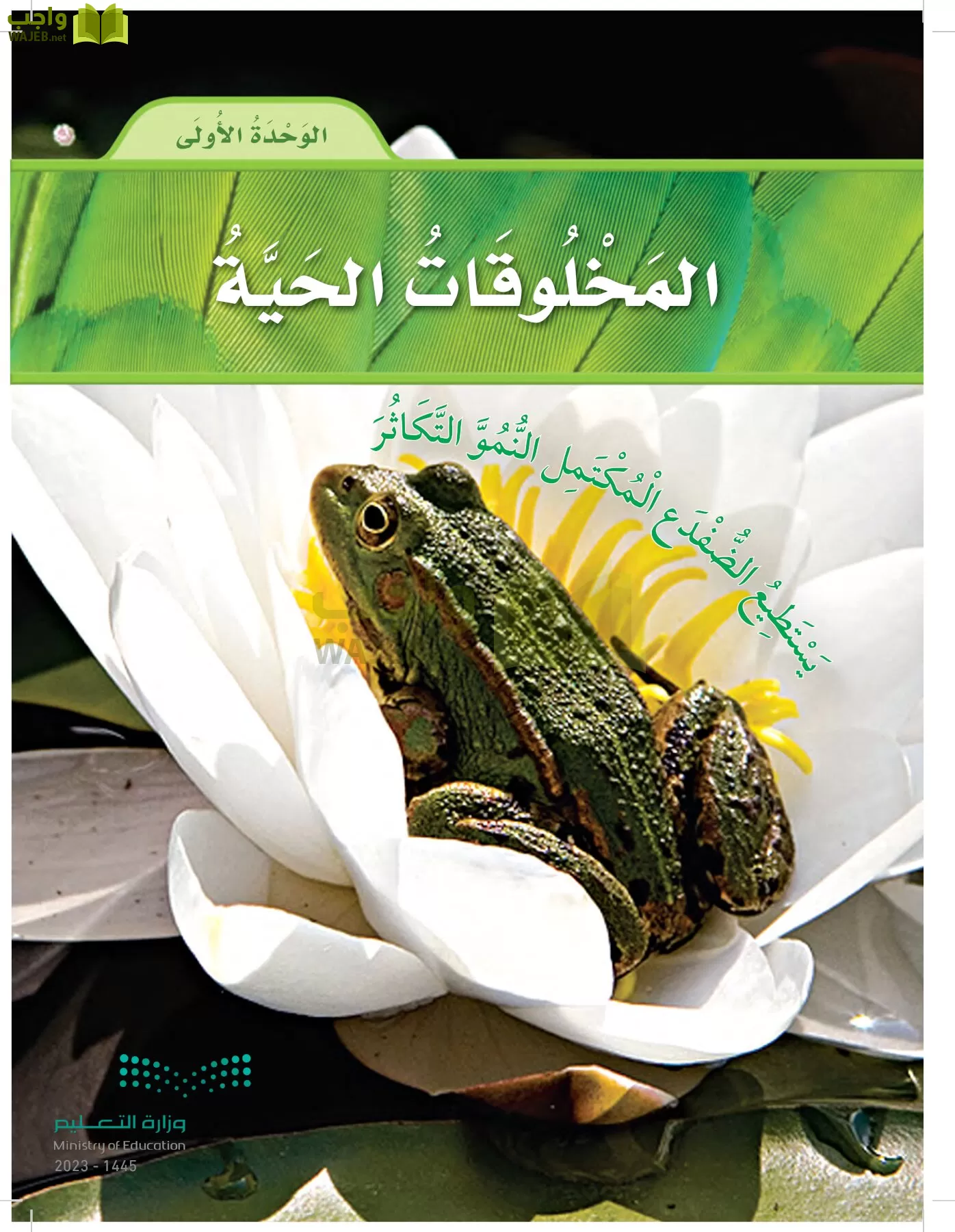 العلوم page-22