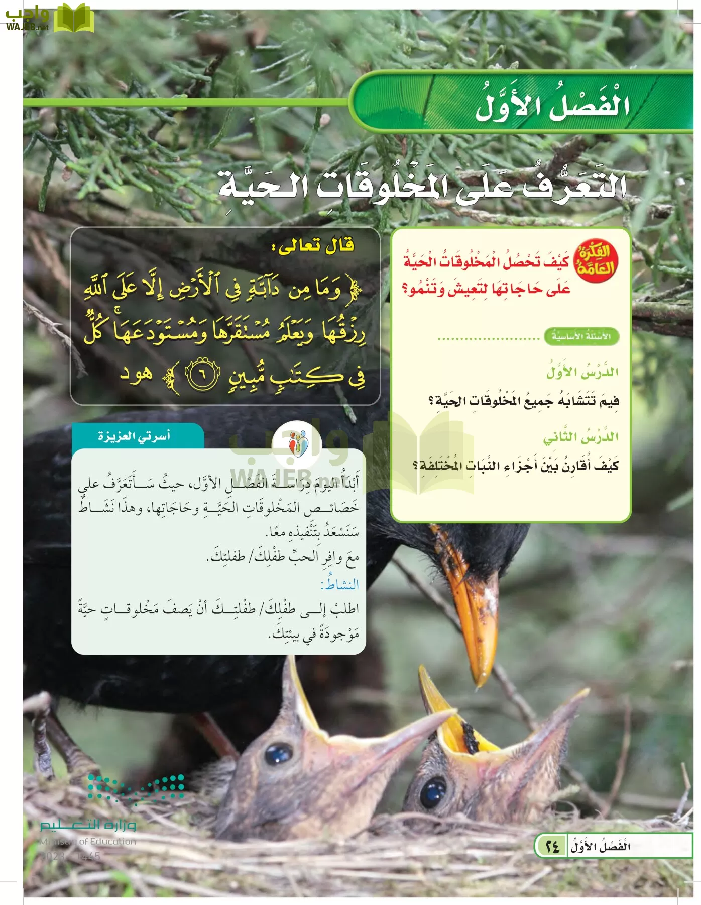 العلوم page-23