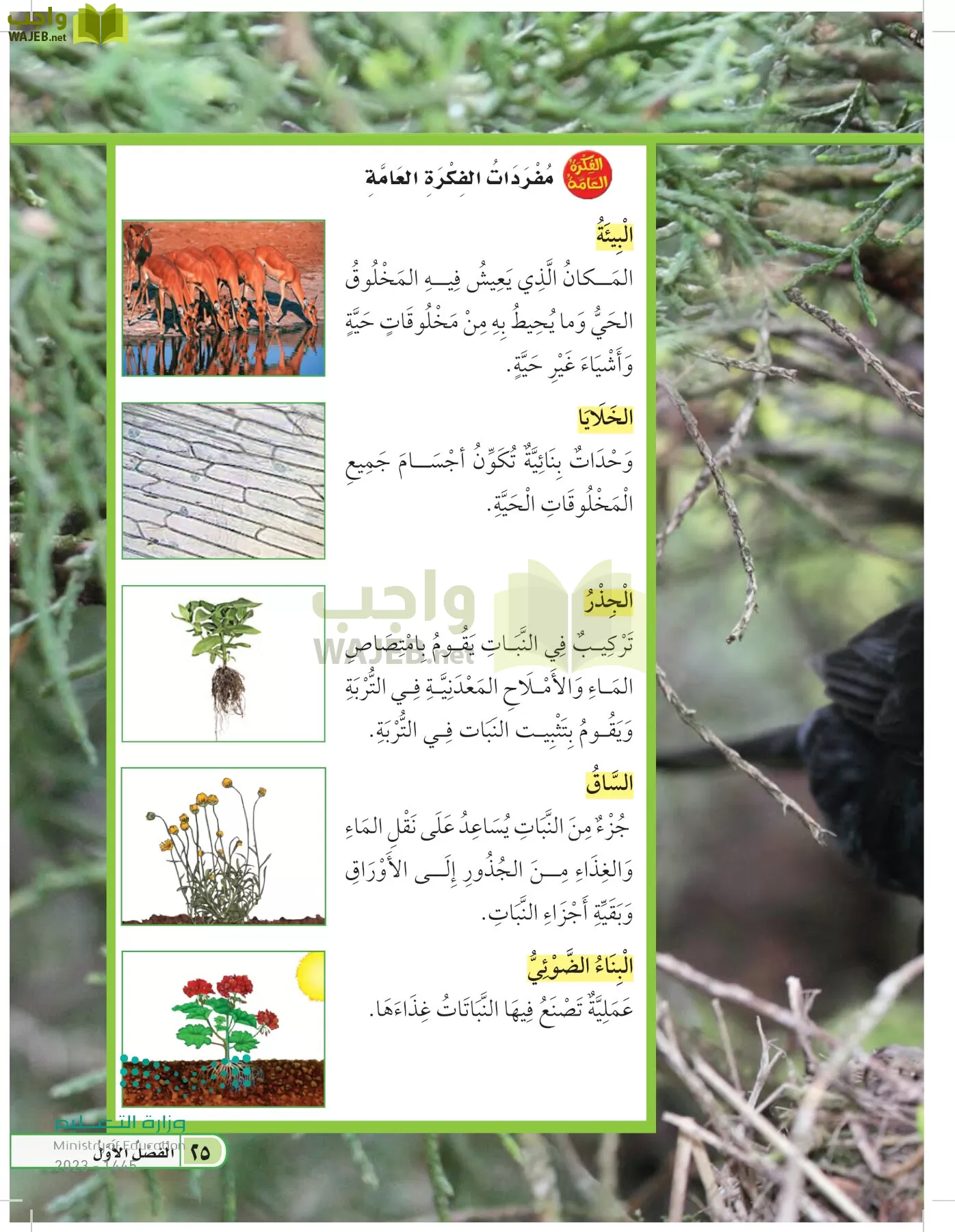 العلوم page-24
