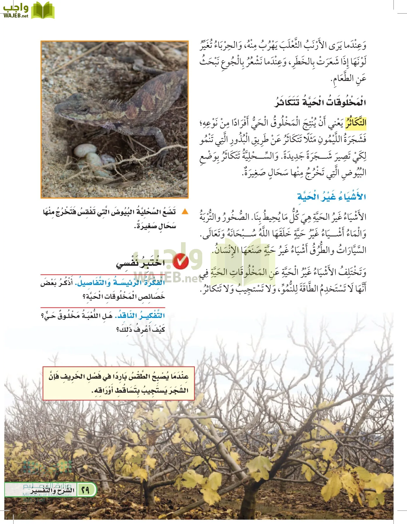 العلوم page-28
