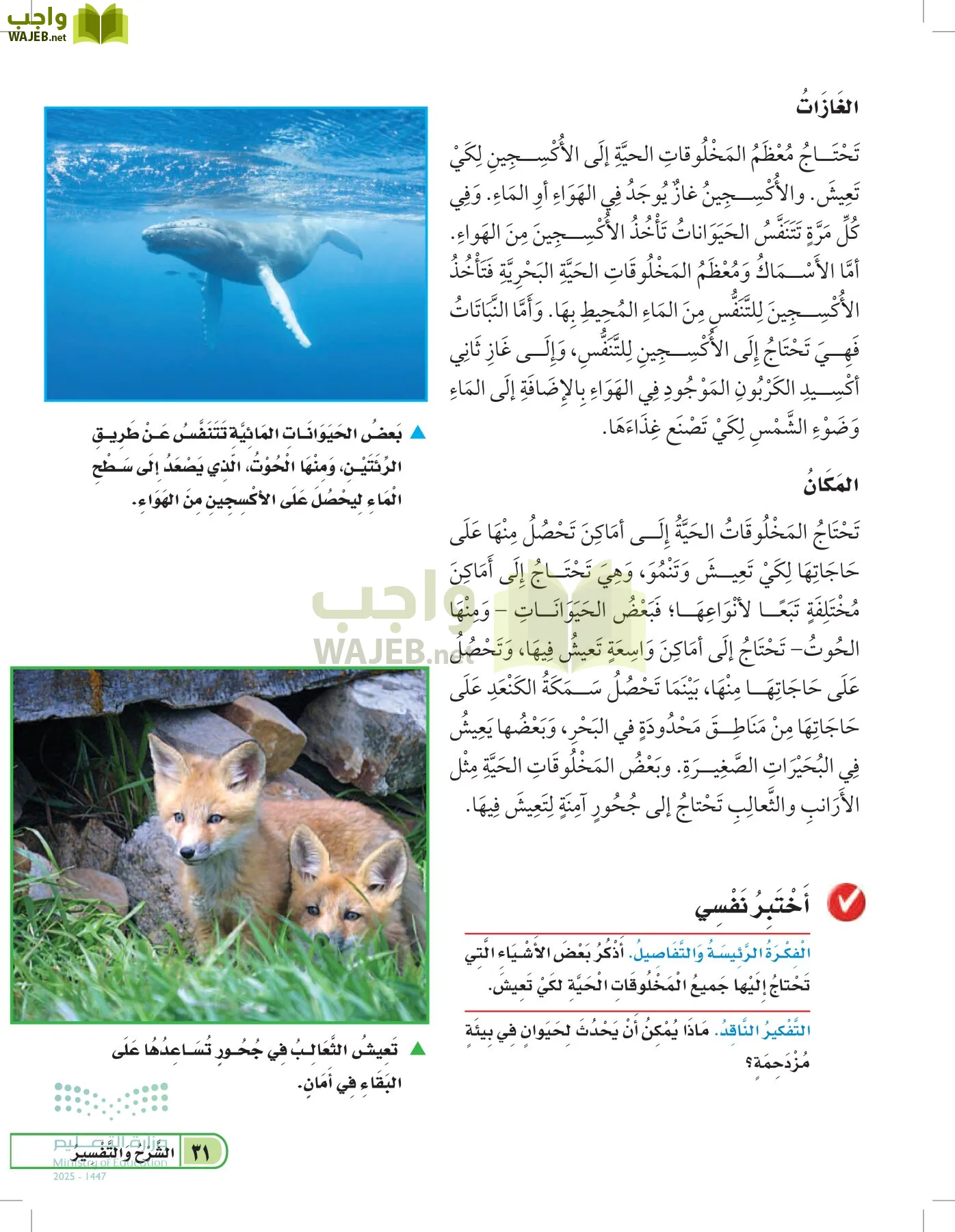 العلوم page-30